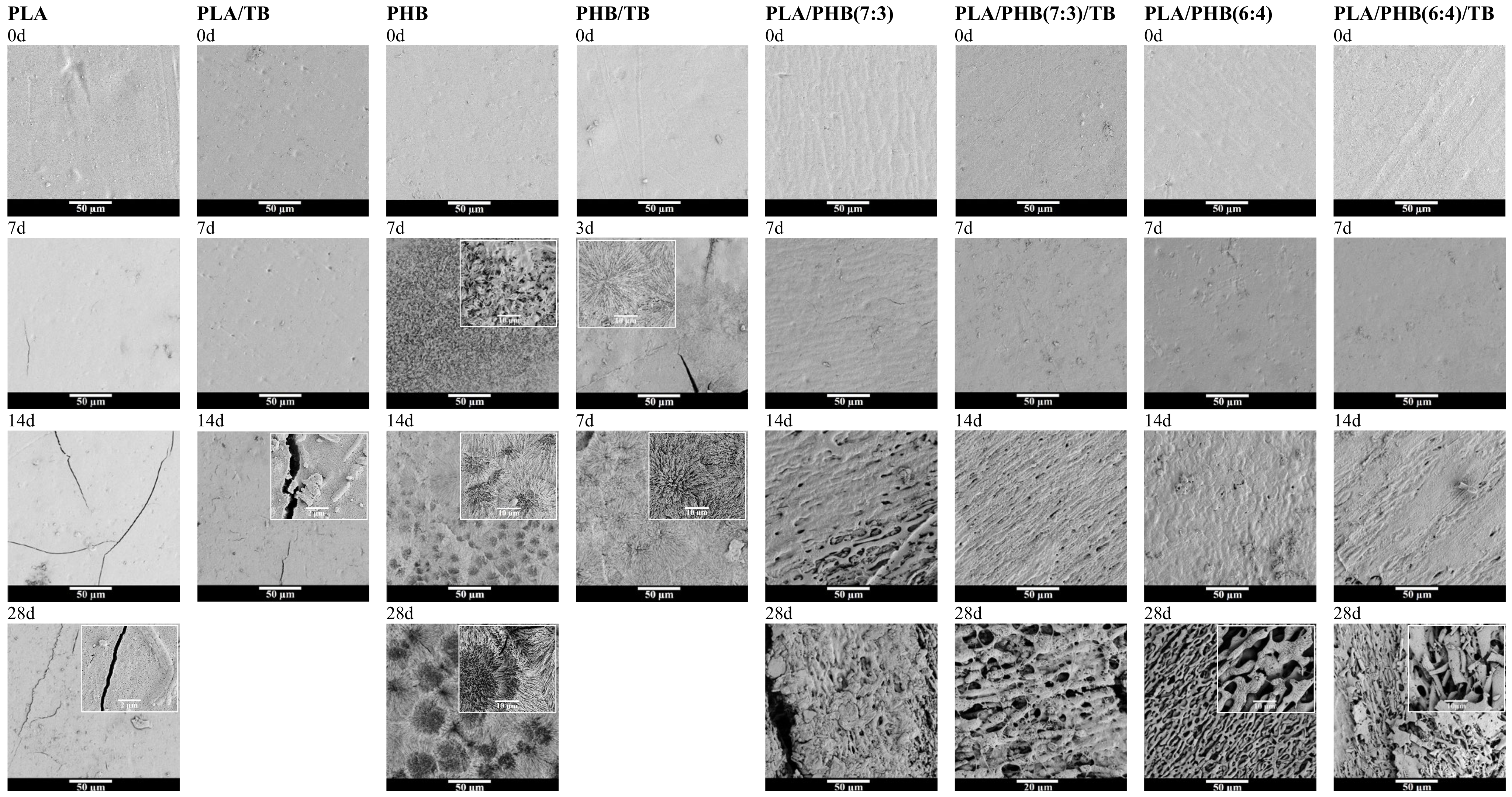 Polymers 13 03171 g004