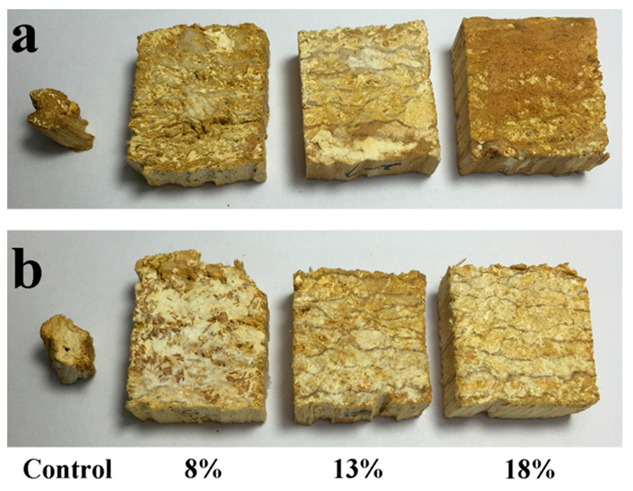 Polymers 13 03173 g001