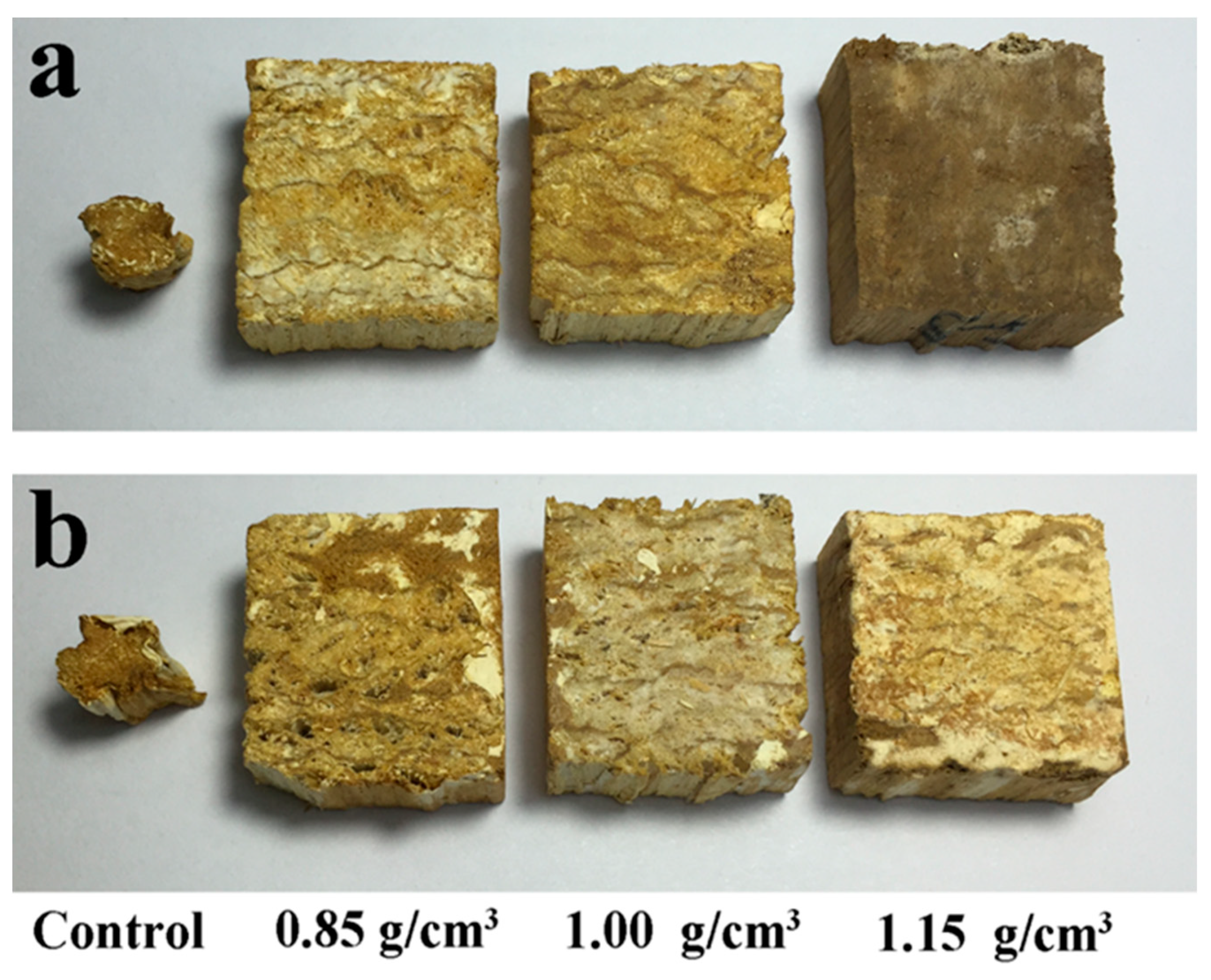 Polymers 13 03173 g002