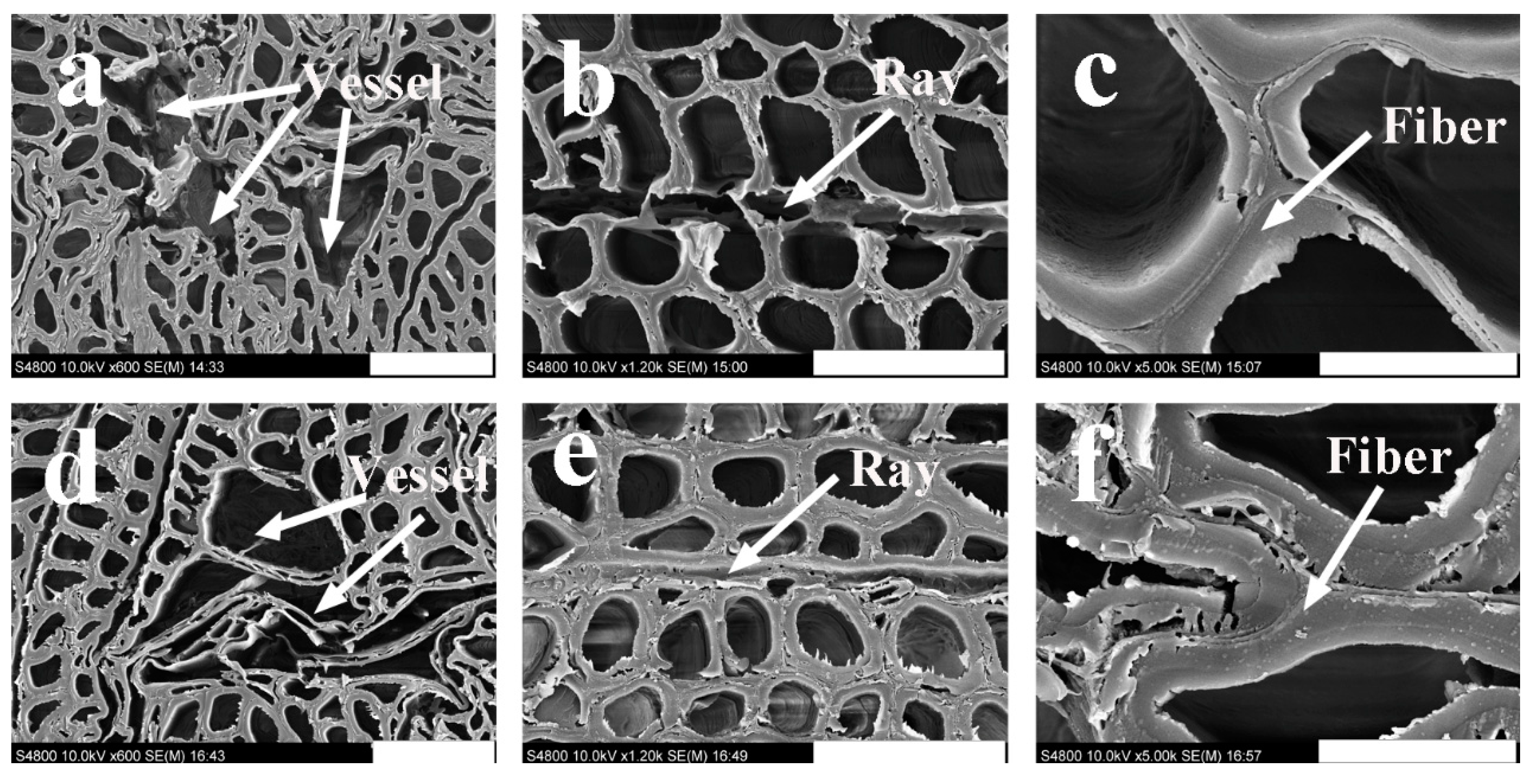 Polymers 13 03173 g009