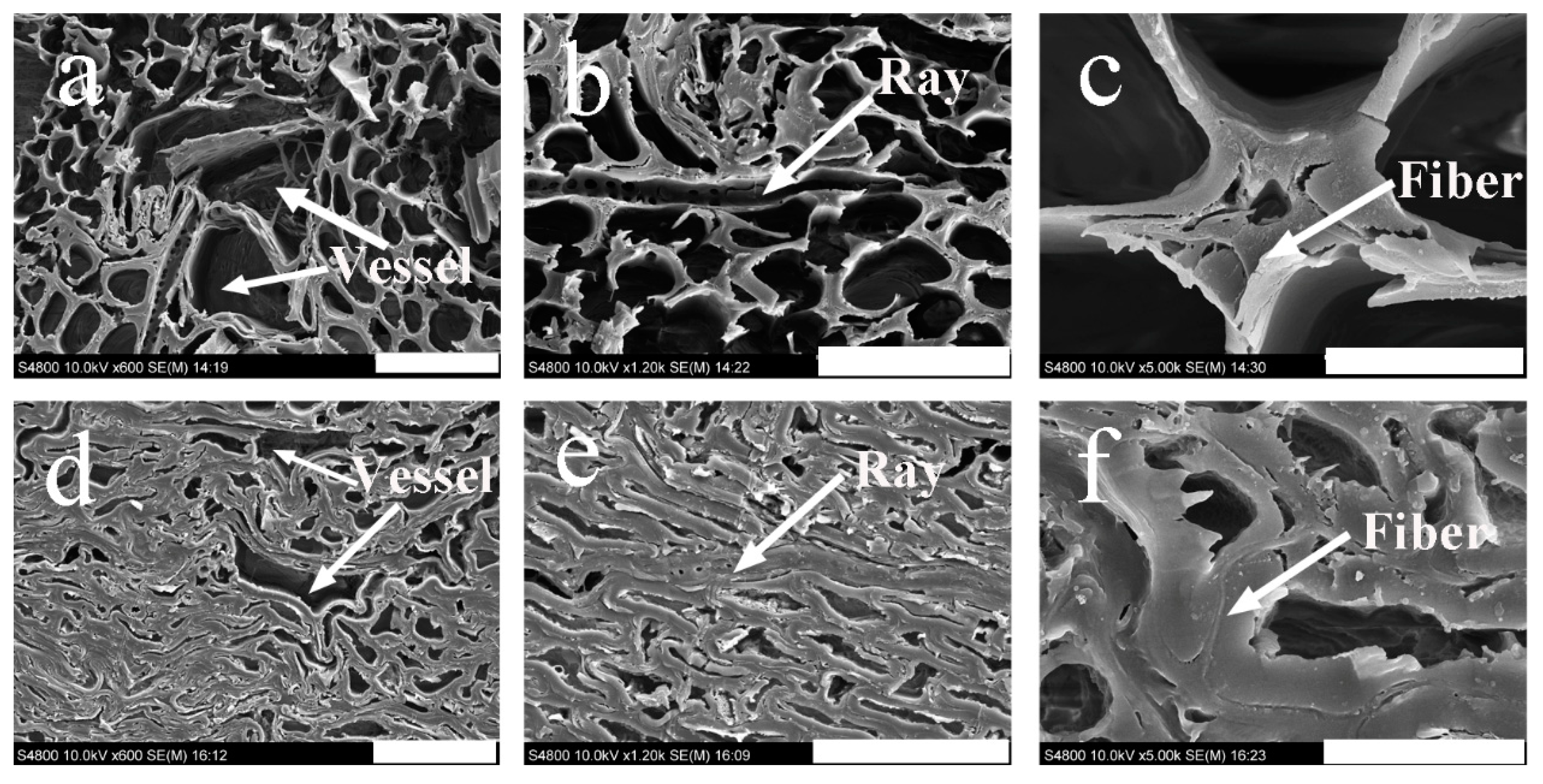 Polymers 13 03173 g010