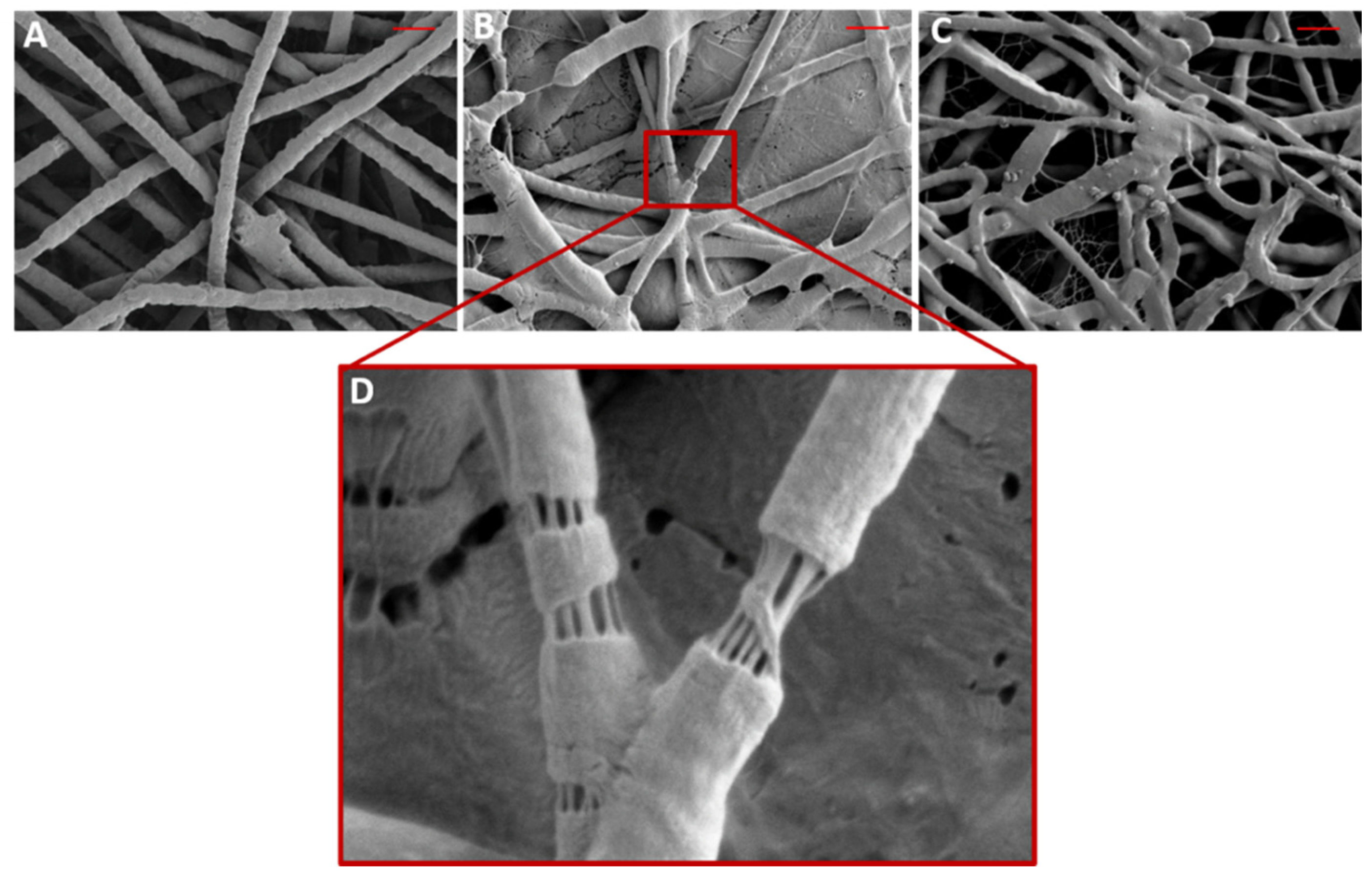 Polymers 13 03174 g002
