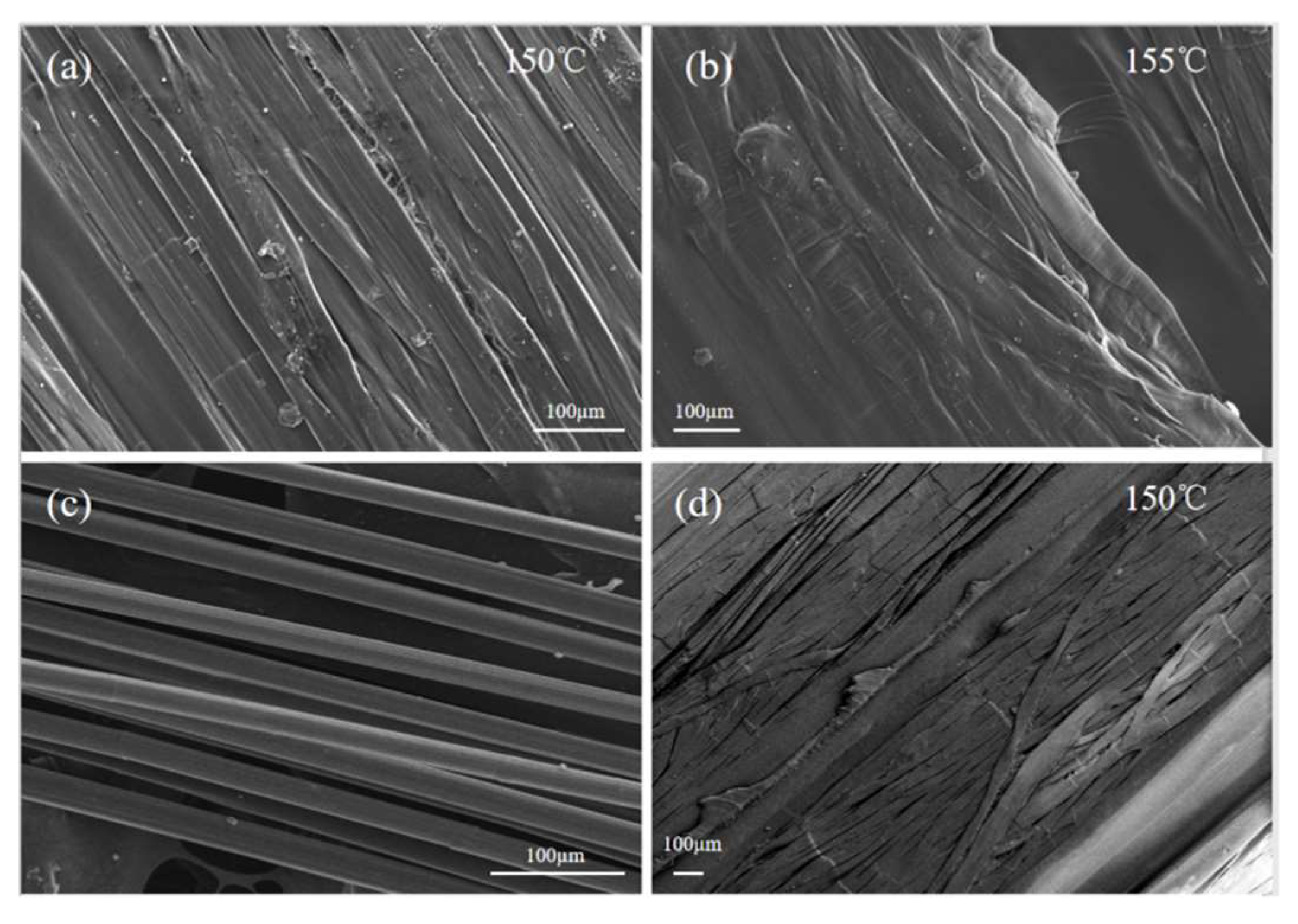 Polymers 13 03176 g008
