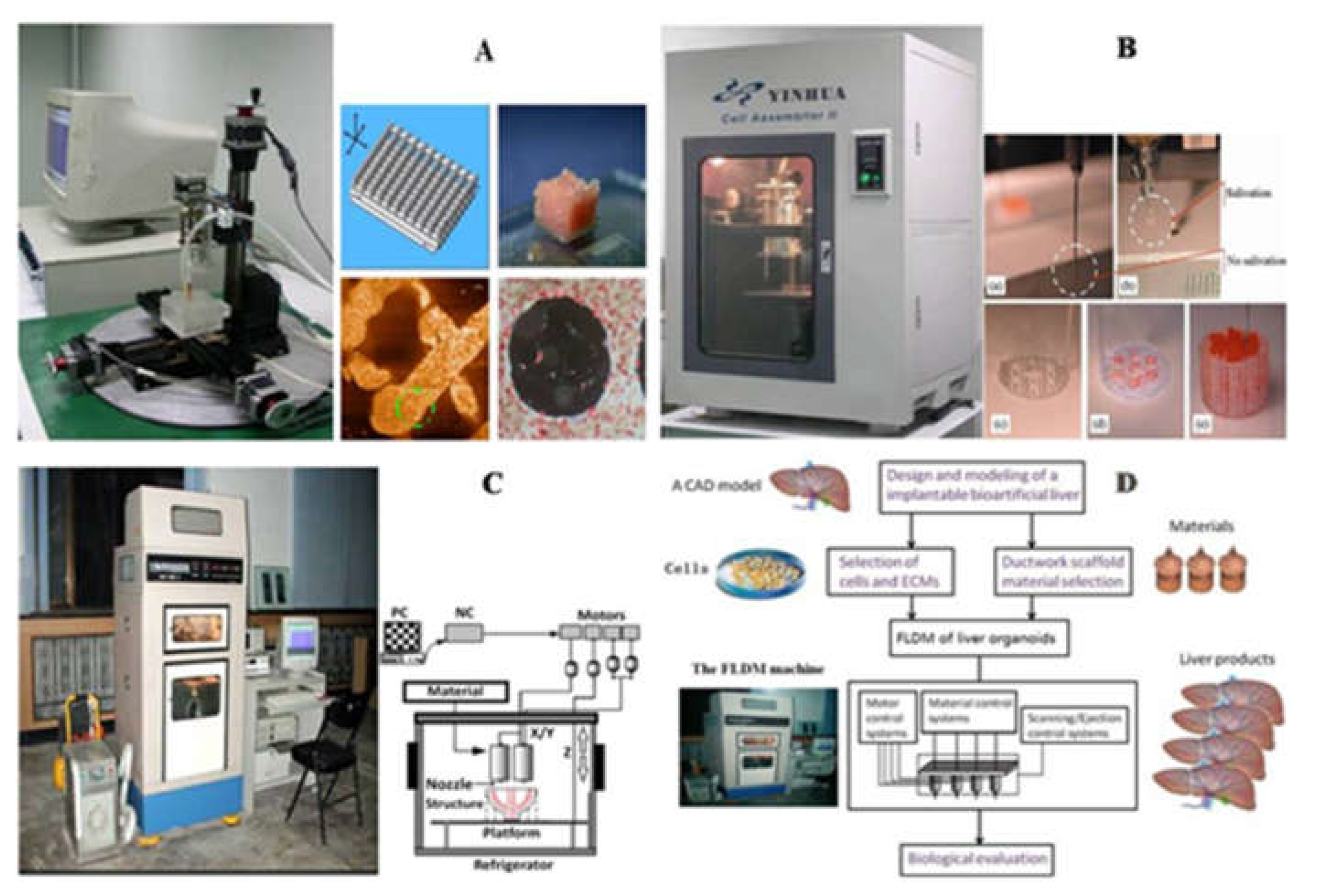 洋書 Cell and Organ Printing 3D bioprinting of tissues and organs | Nature Biotechnology