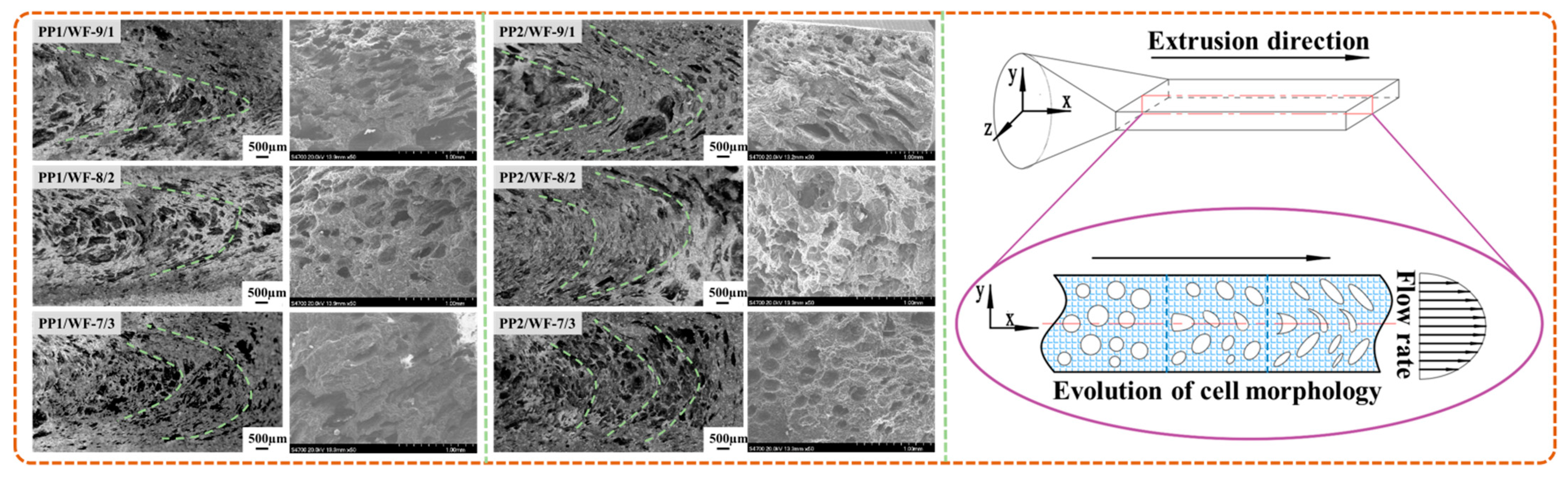 Polymers 13 03179 g012