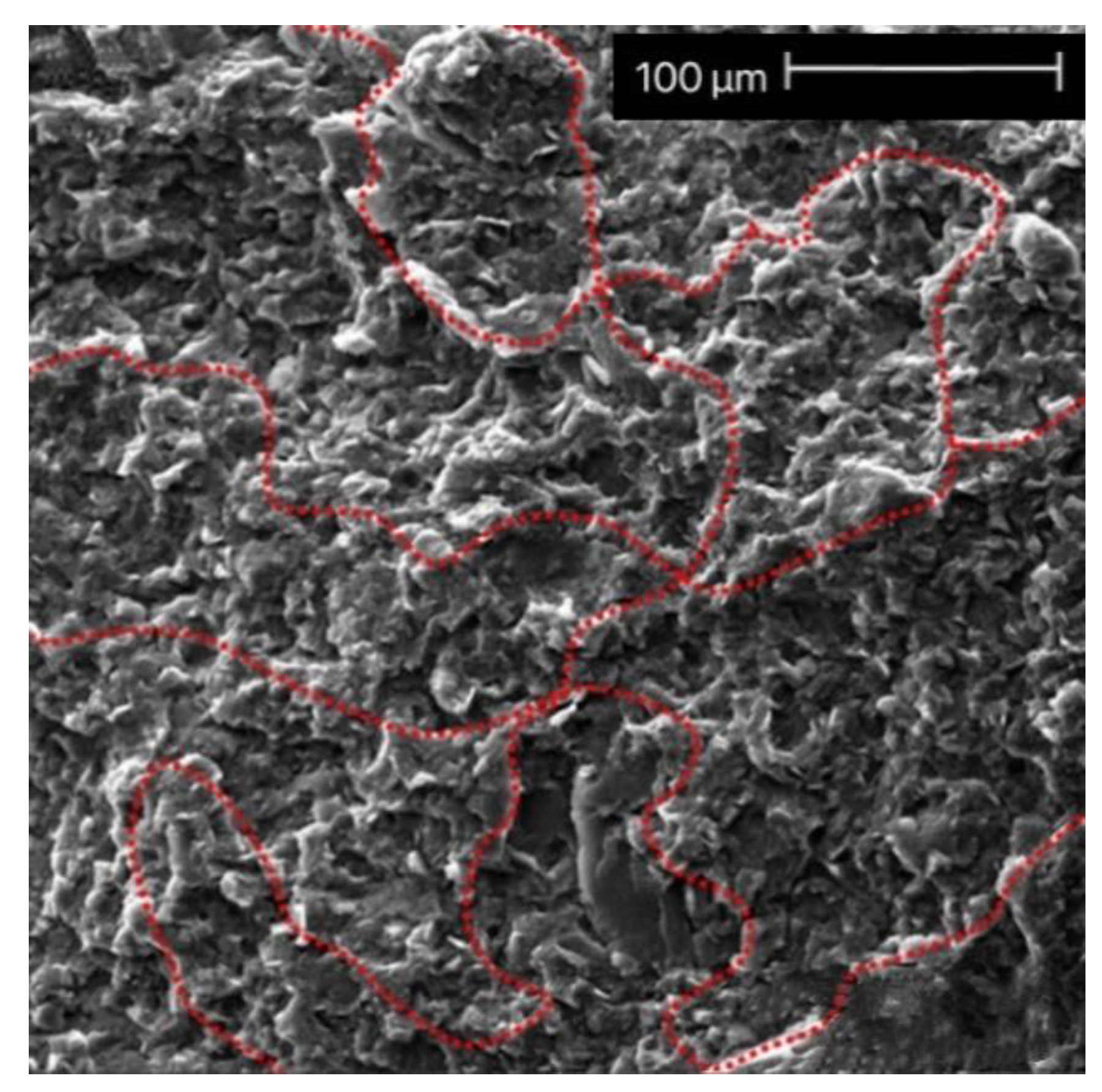 Polymers 13 03185 g005