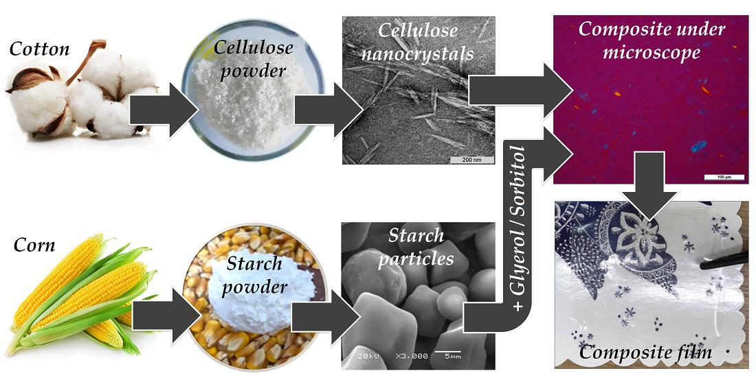 Polymers Free FullText The Role of Structure and Interactions in
