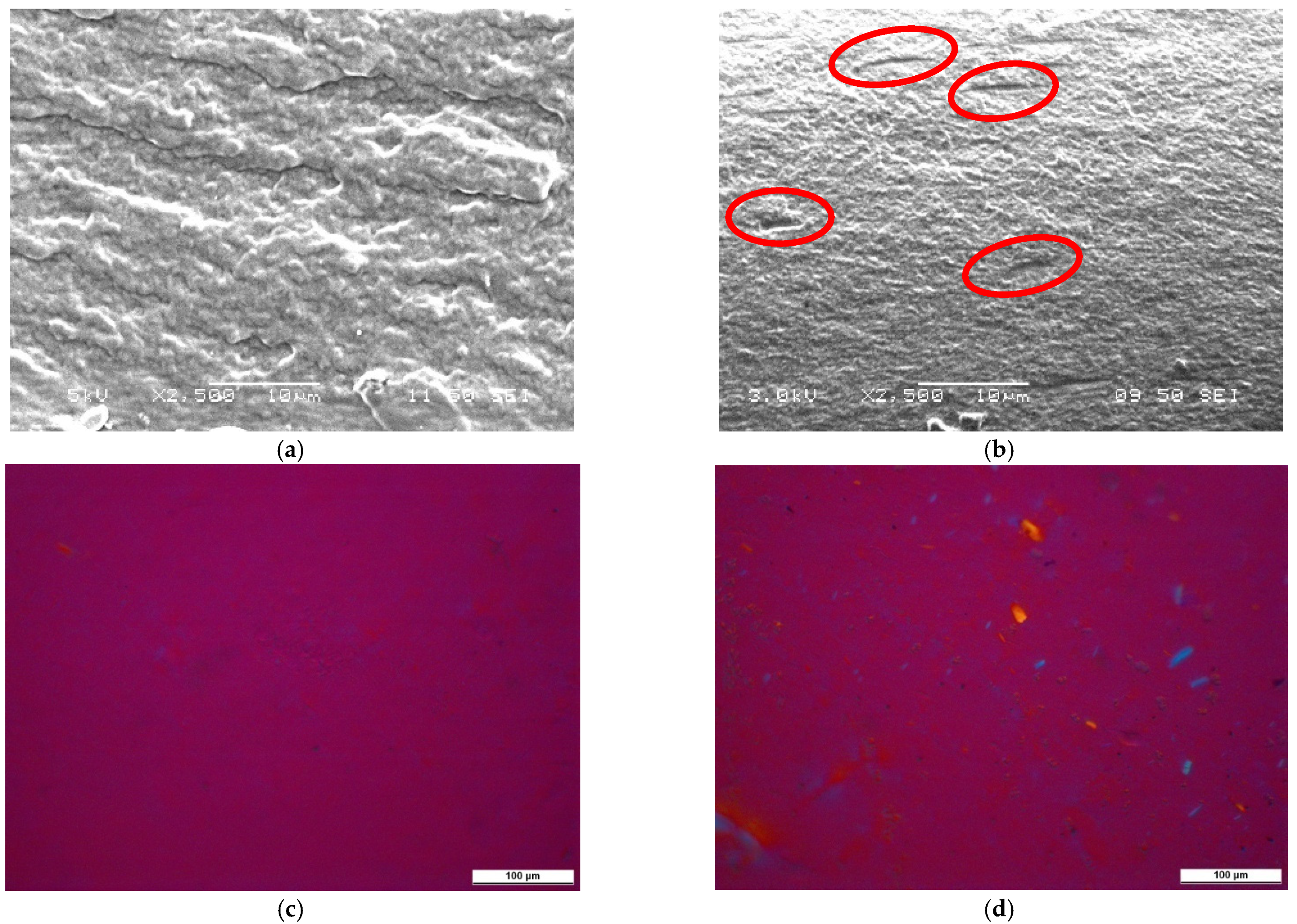 Polymers 13 03186 g004 550