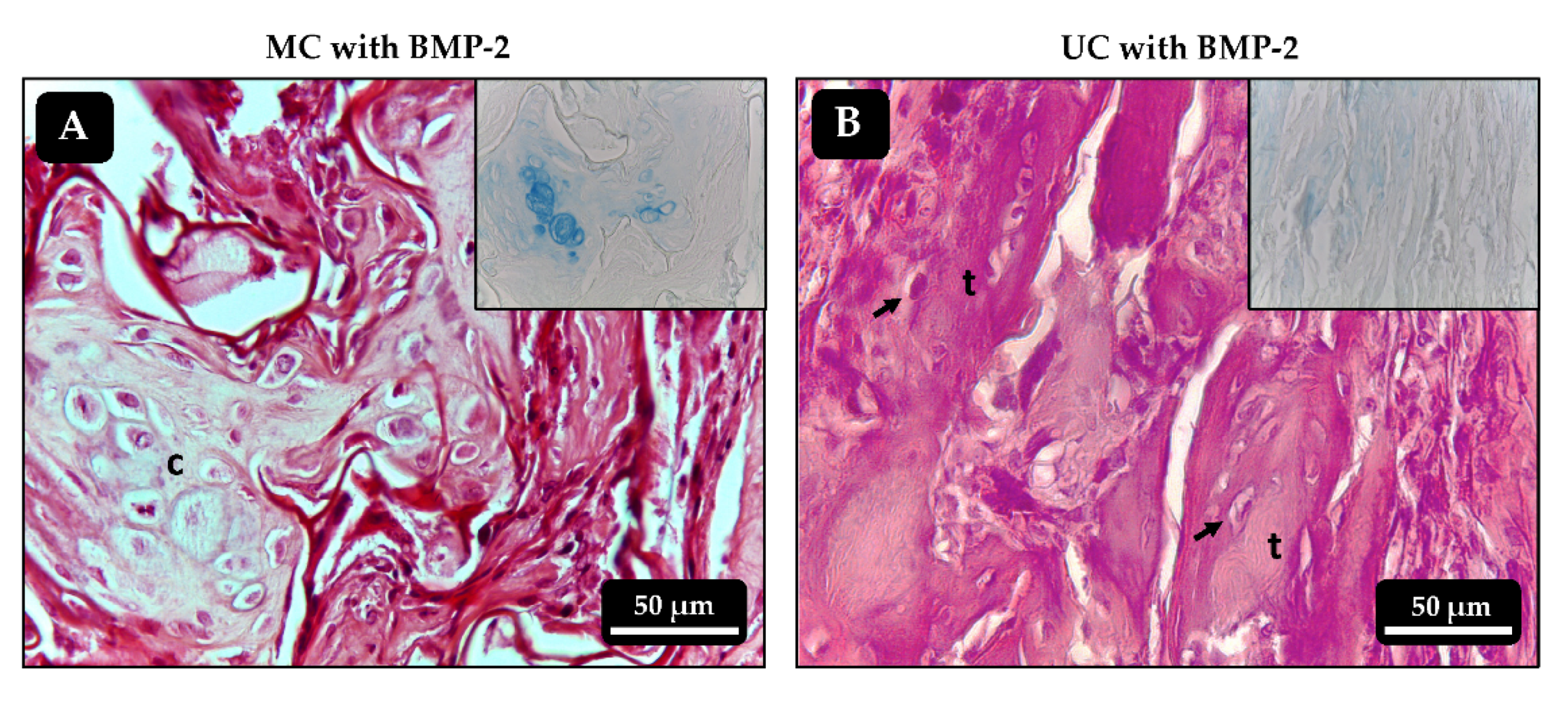 Polymers 13 03187 g009