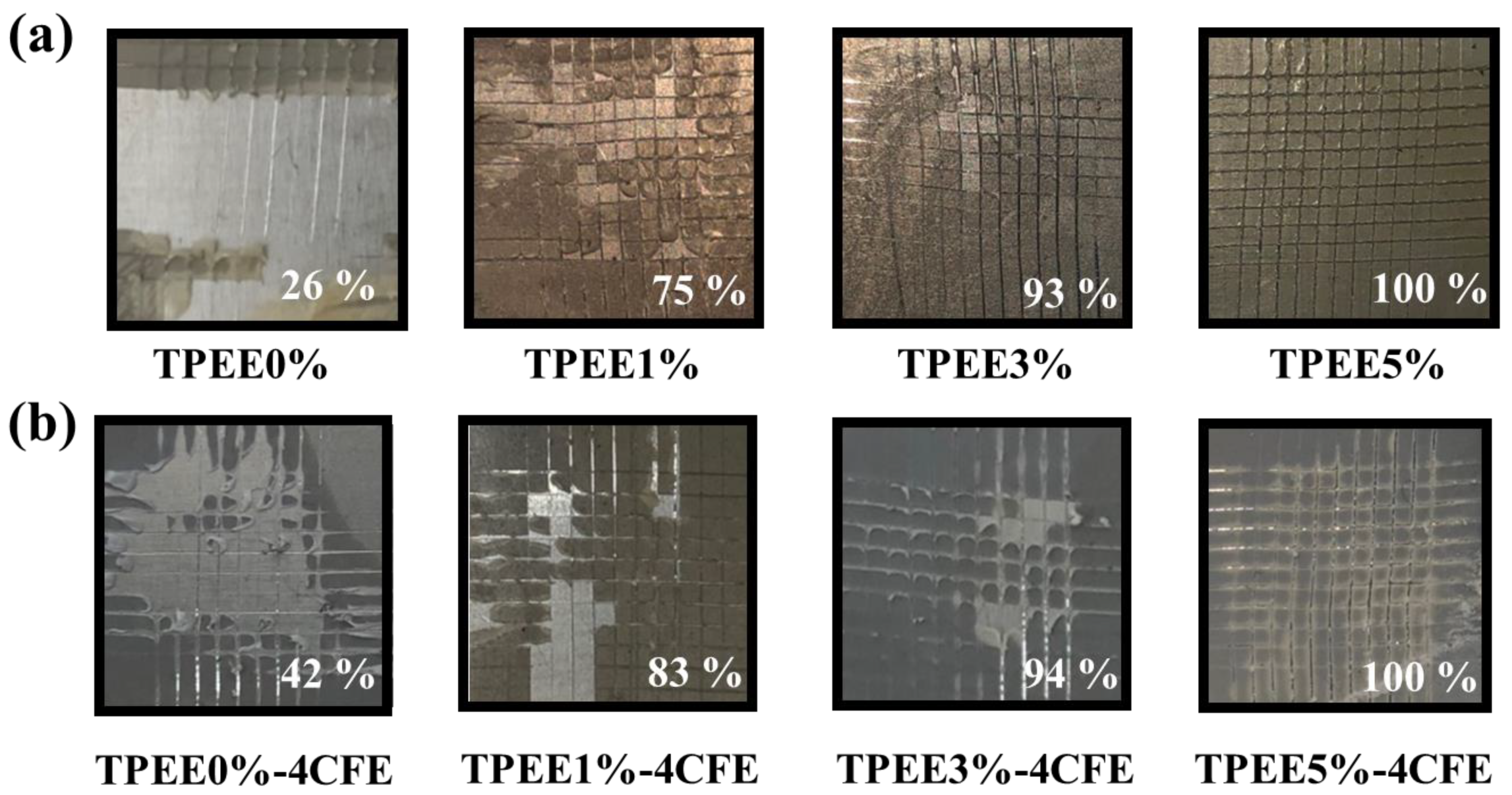 Polymers 13 03188 g004