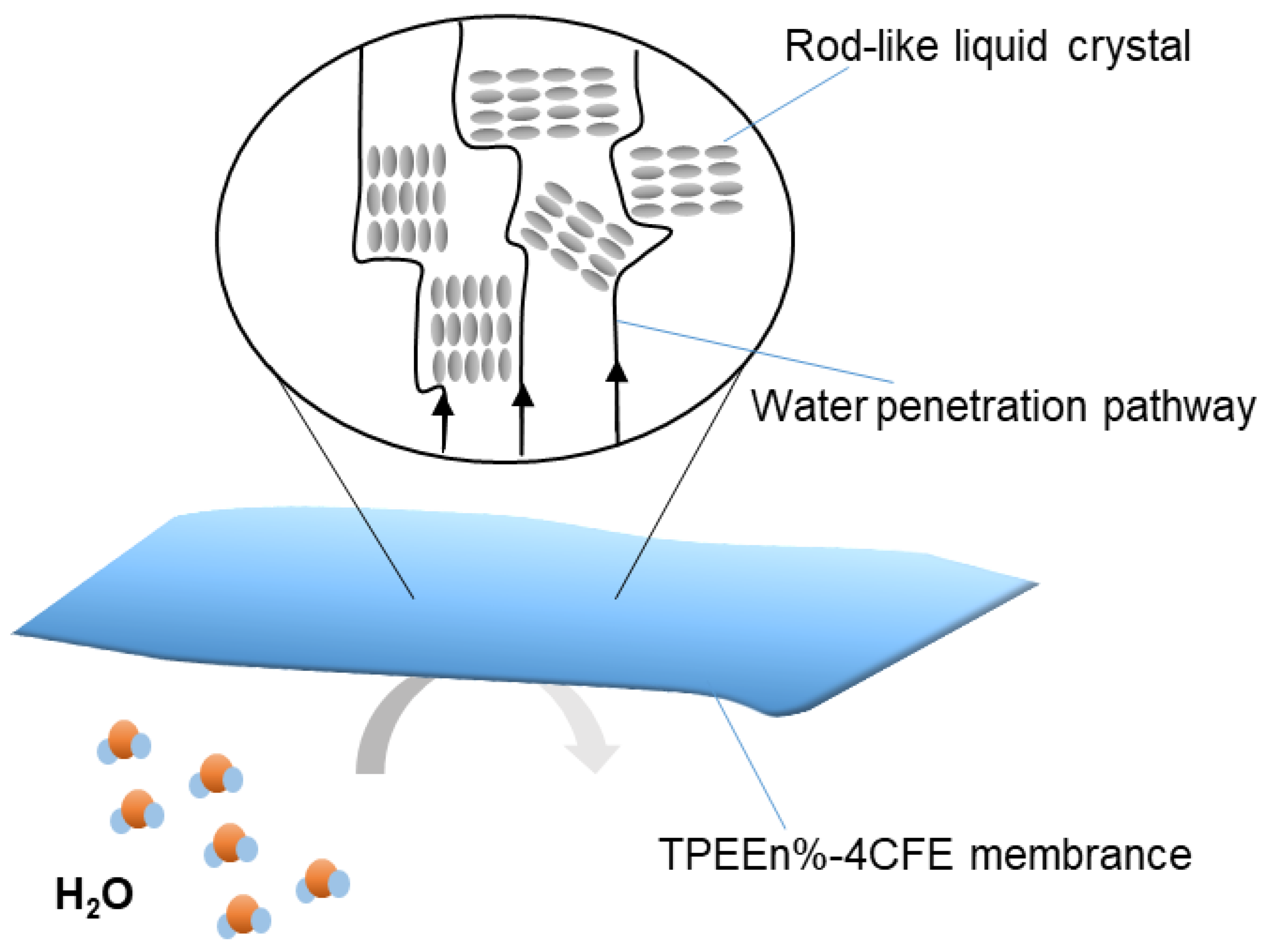 Polymers 13 03188 g008