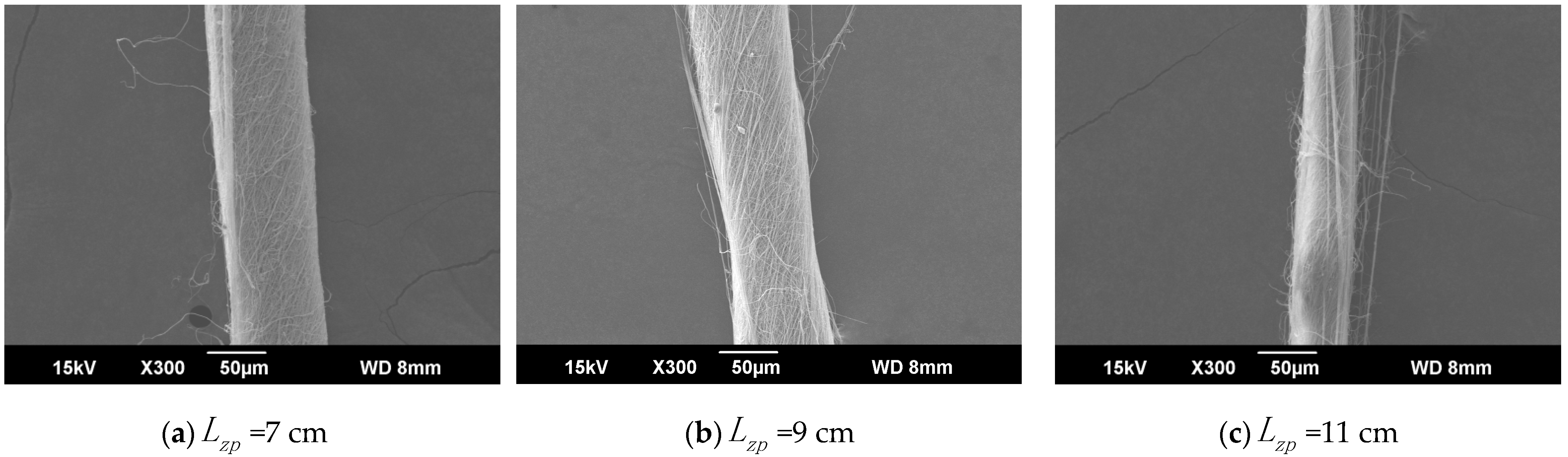 Polymers 13 03189 g007