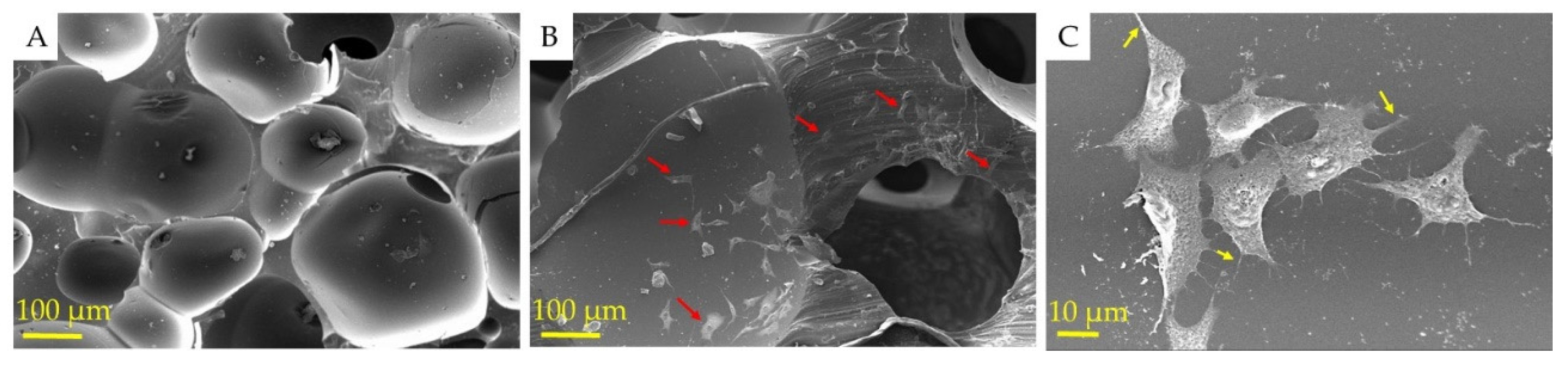 Polymers 13 03191 g006 550