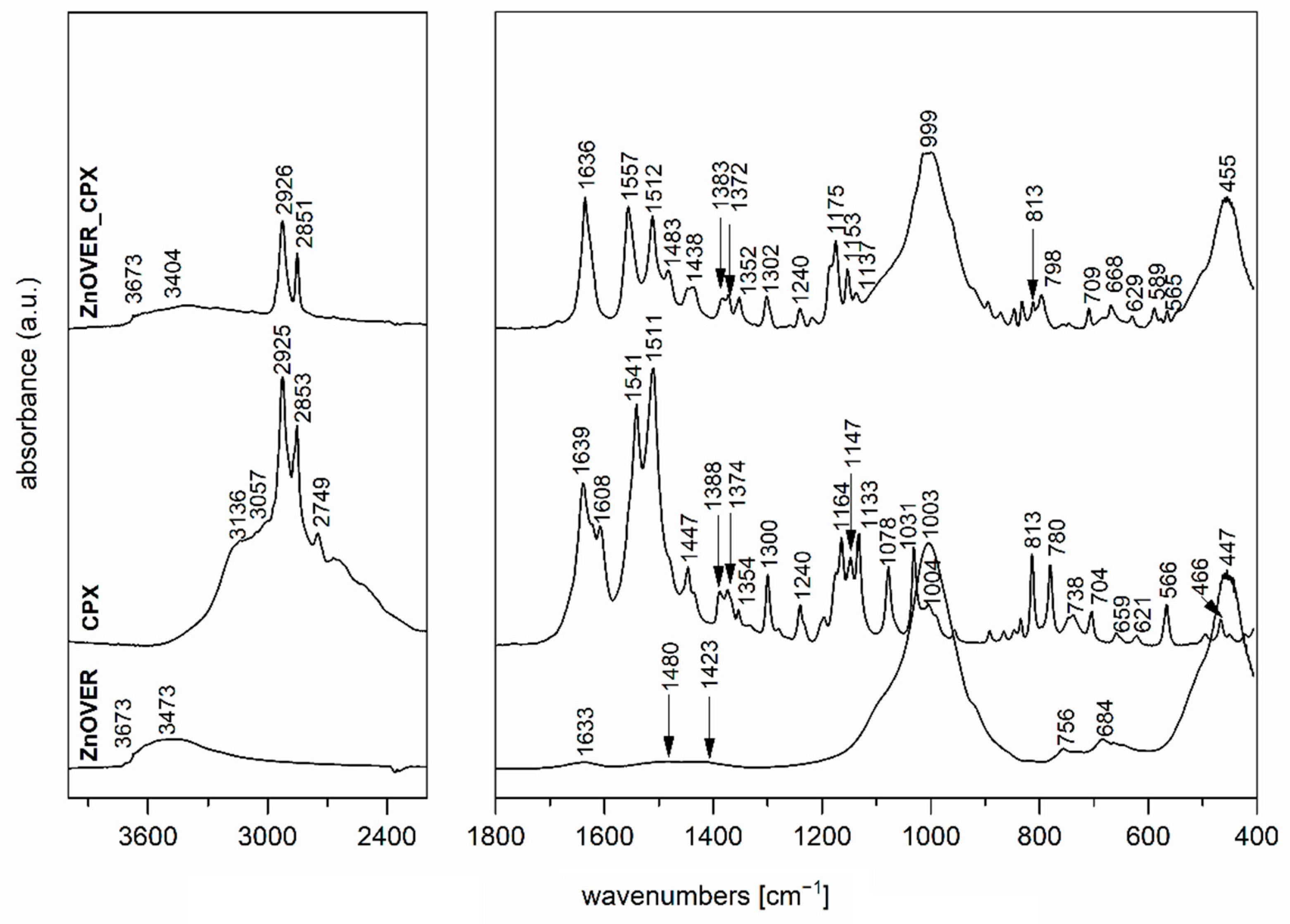 Polymers 13 03193 g004 550