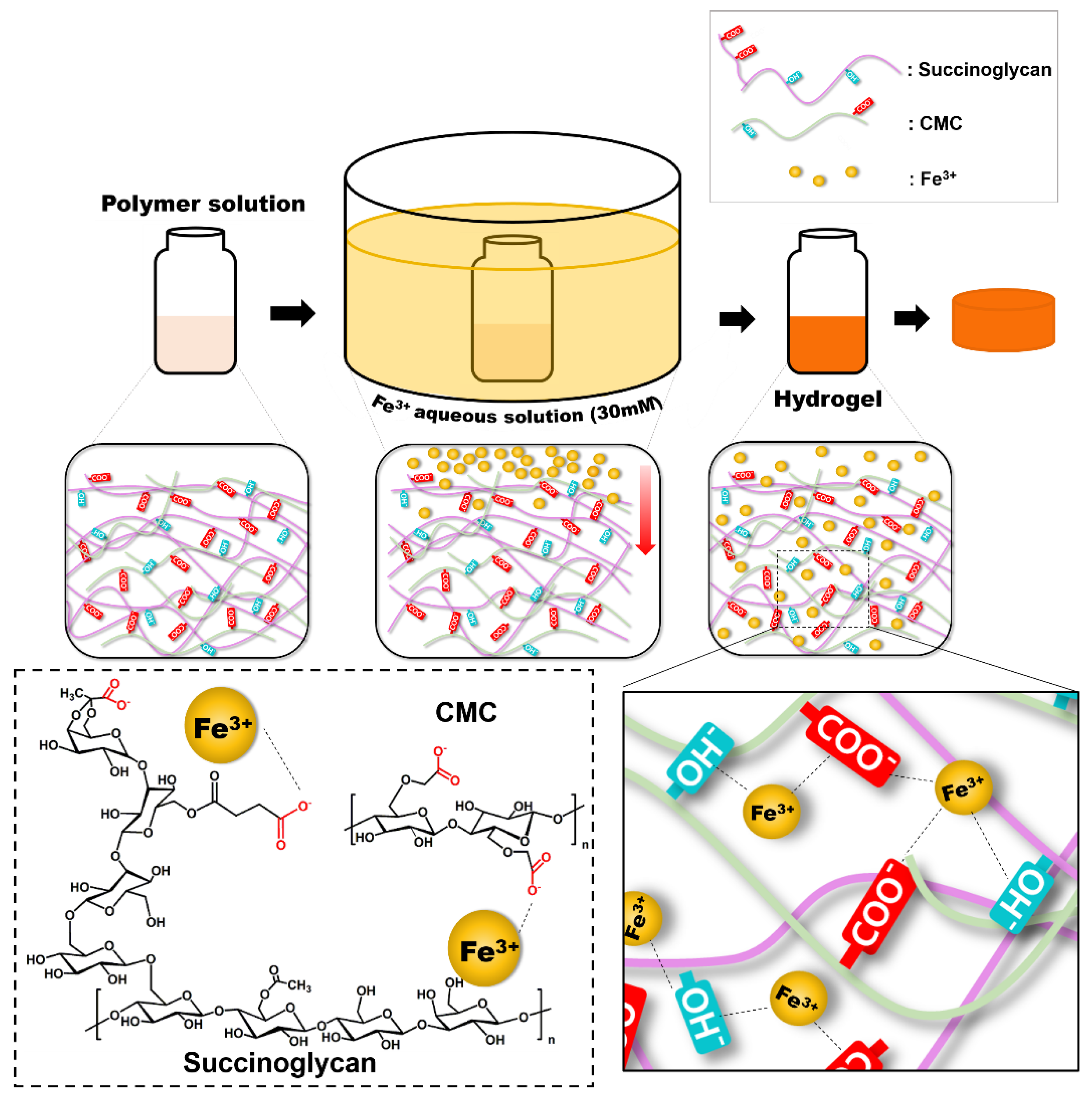 Polymers 13 03197 g002