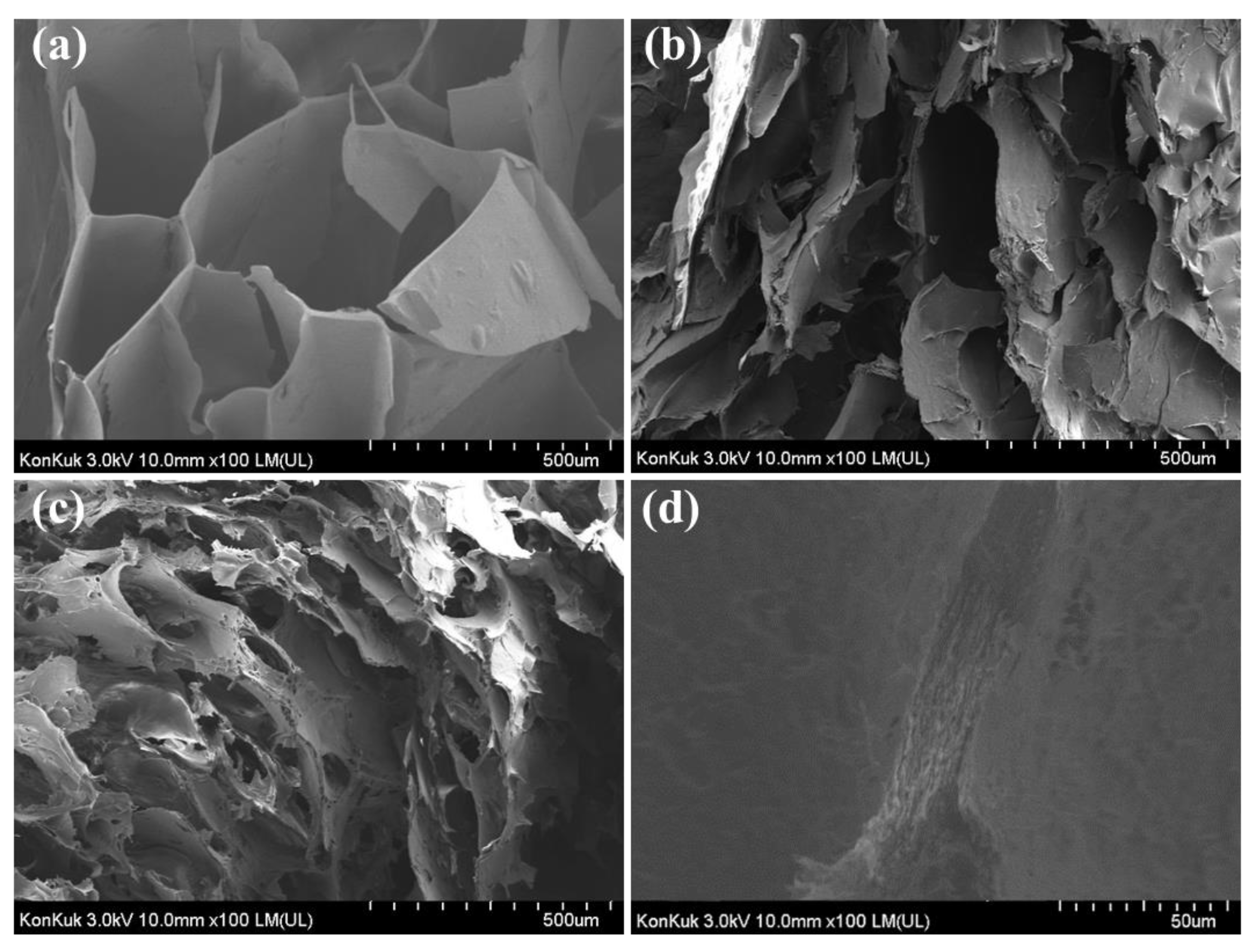 Polymers 13 03197 g007