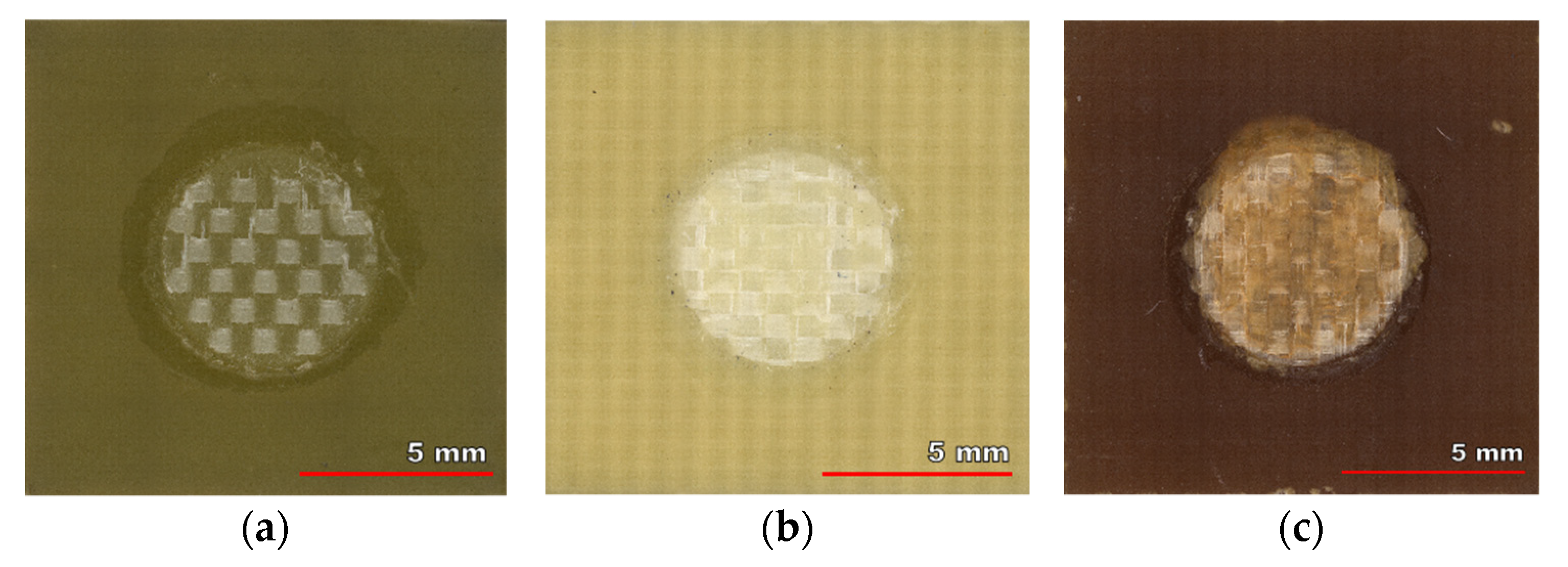 Polymers 13 03203 g008