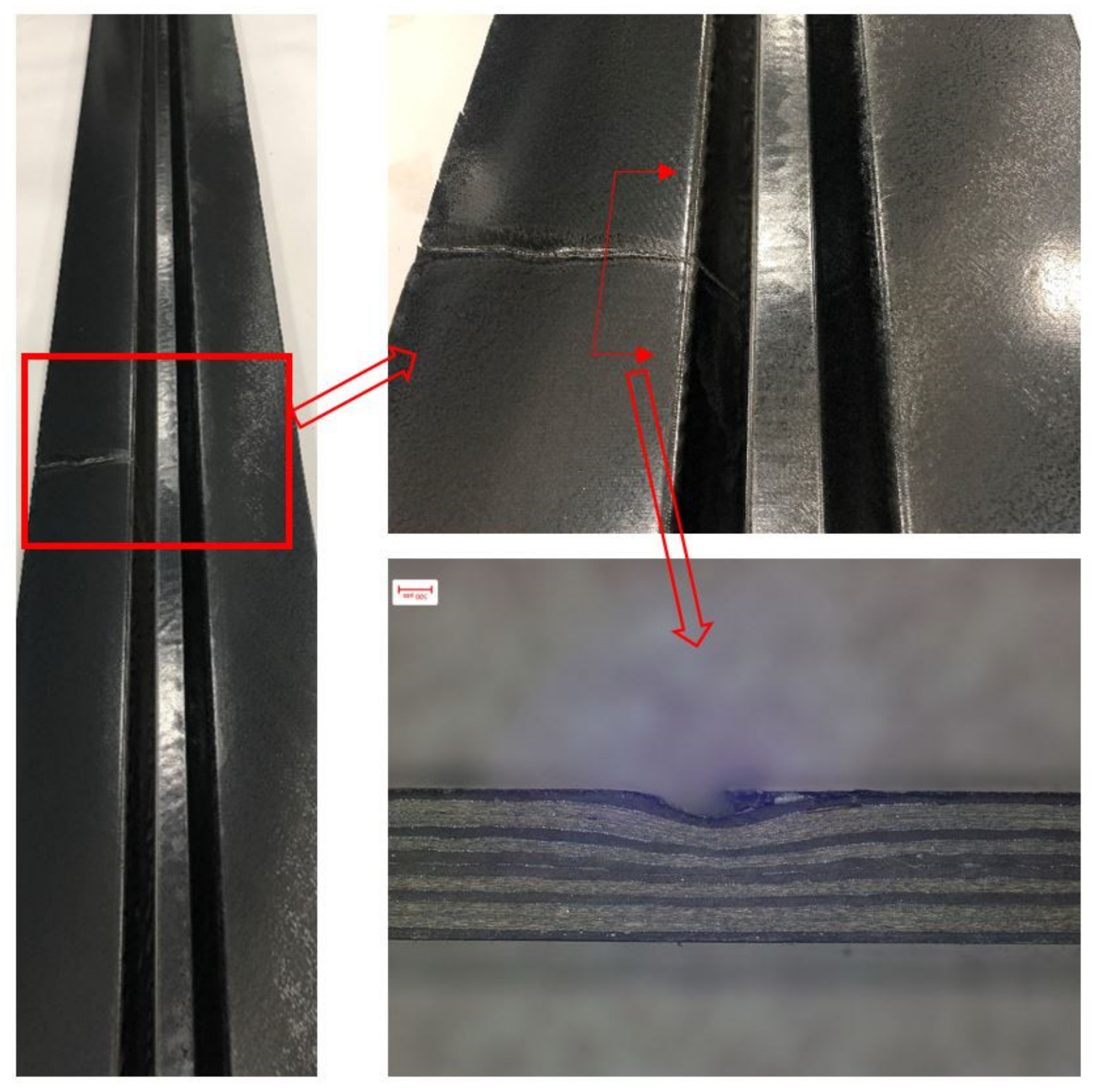 Polymers 13 03204 g002
