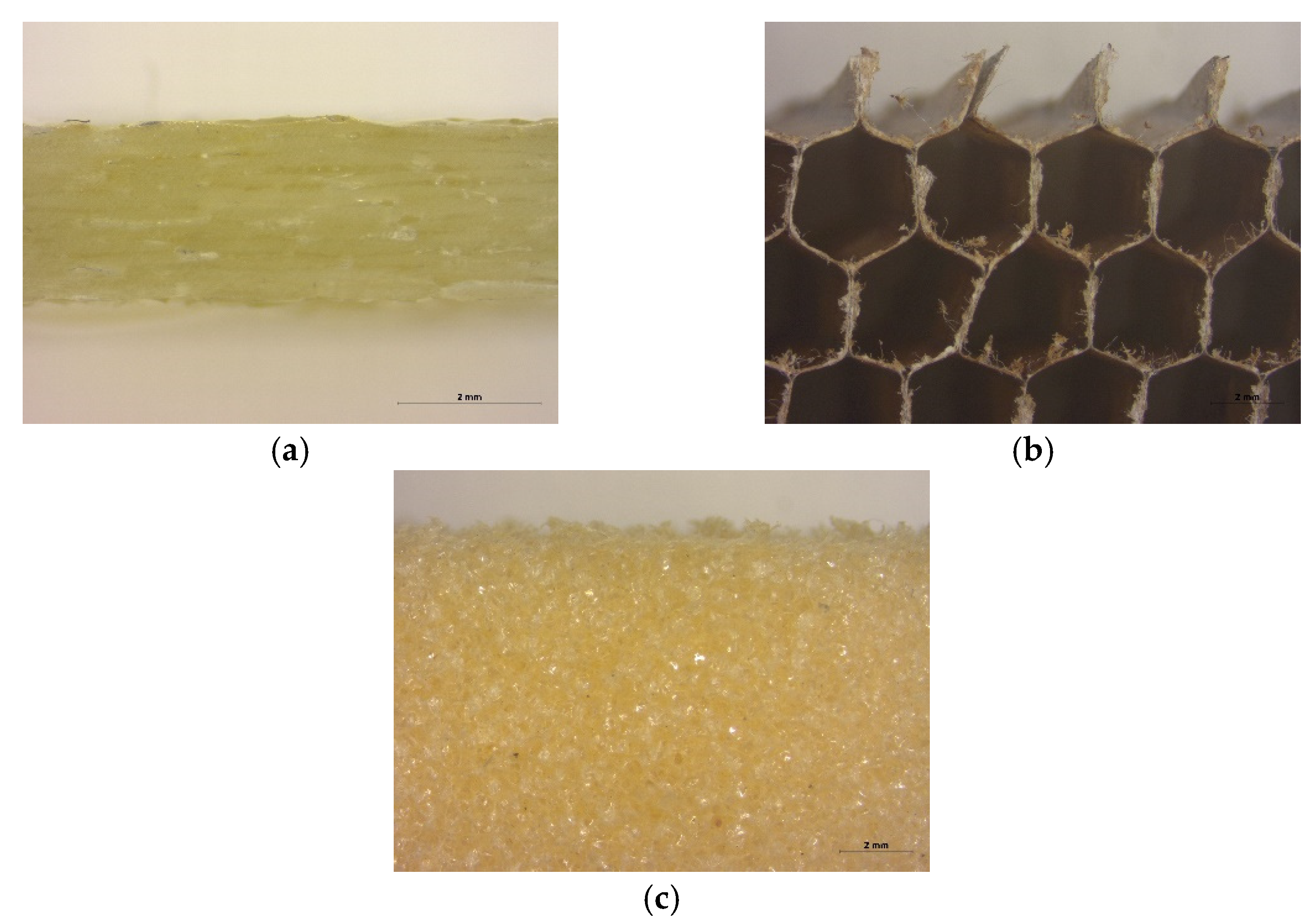 Polymers 13 03207 g001