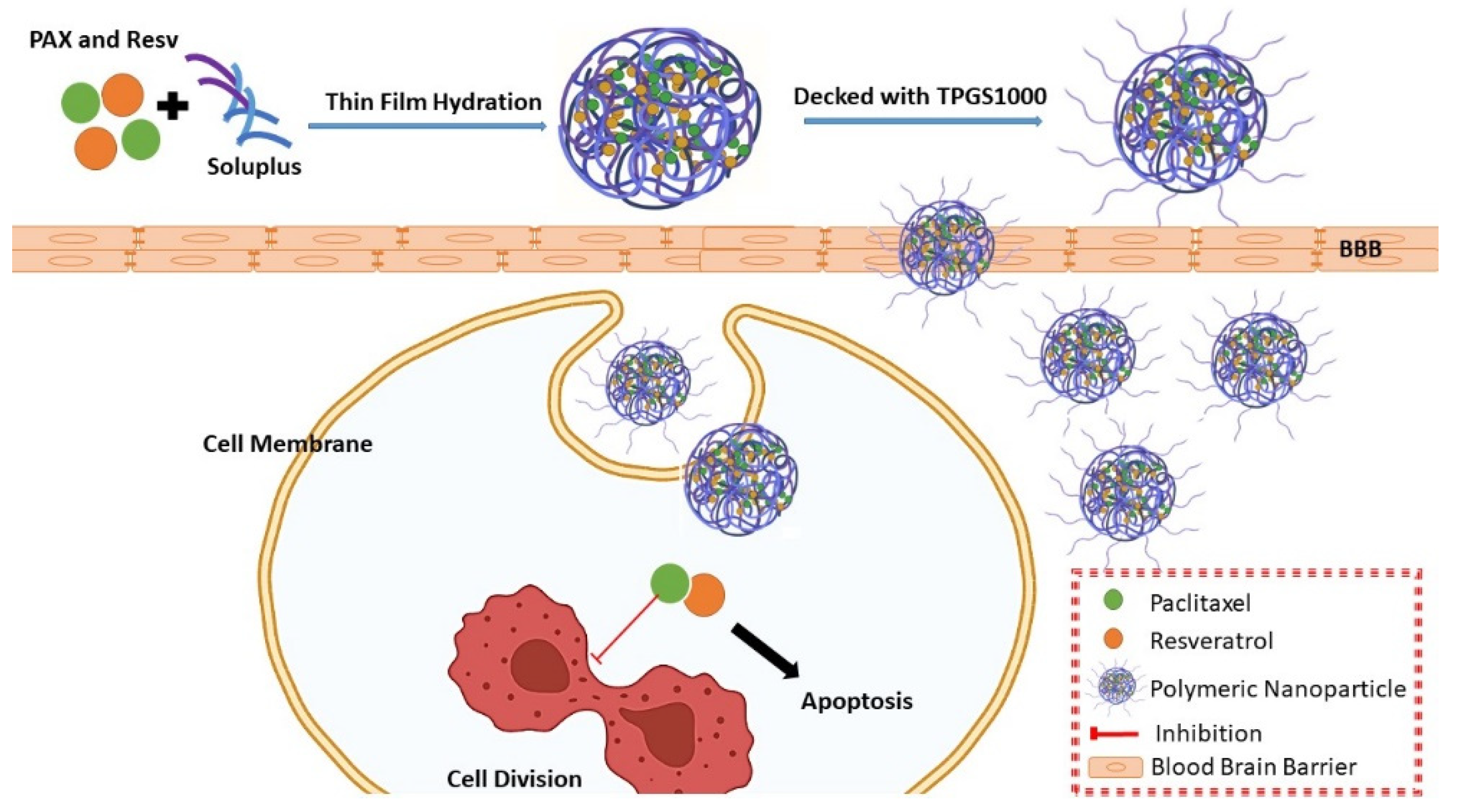 Polymers 13 03210 g001