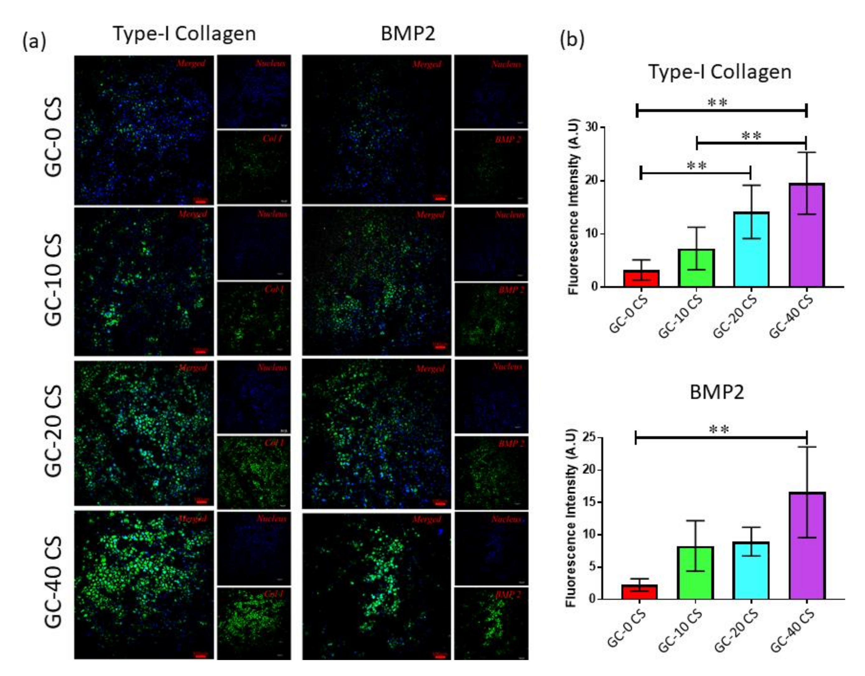 Polymers 13 03211 g009 550