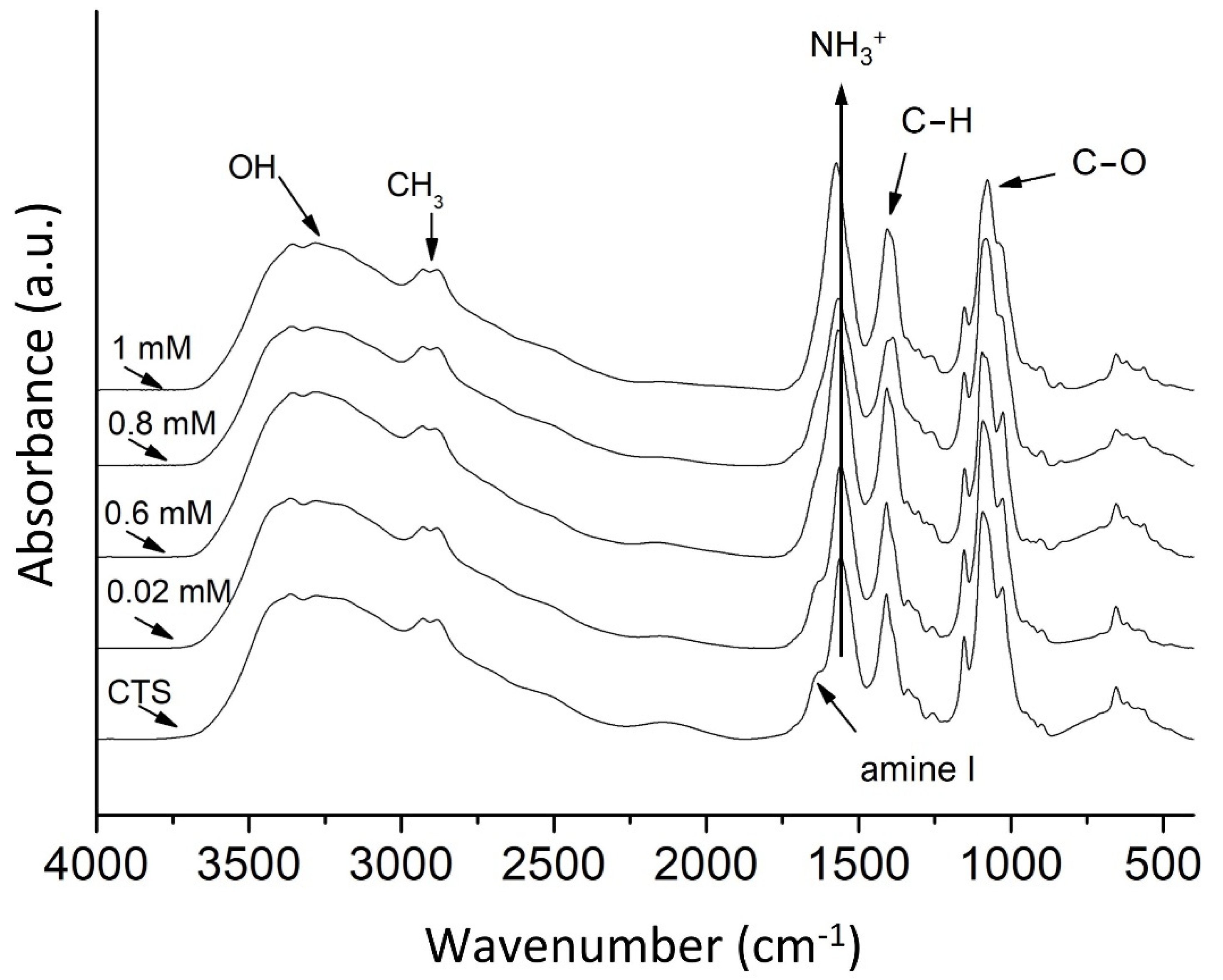 Polymers 13 03214 g001 Polymers 13 03214 g001