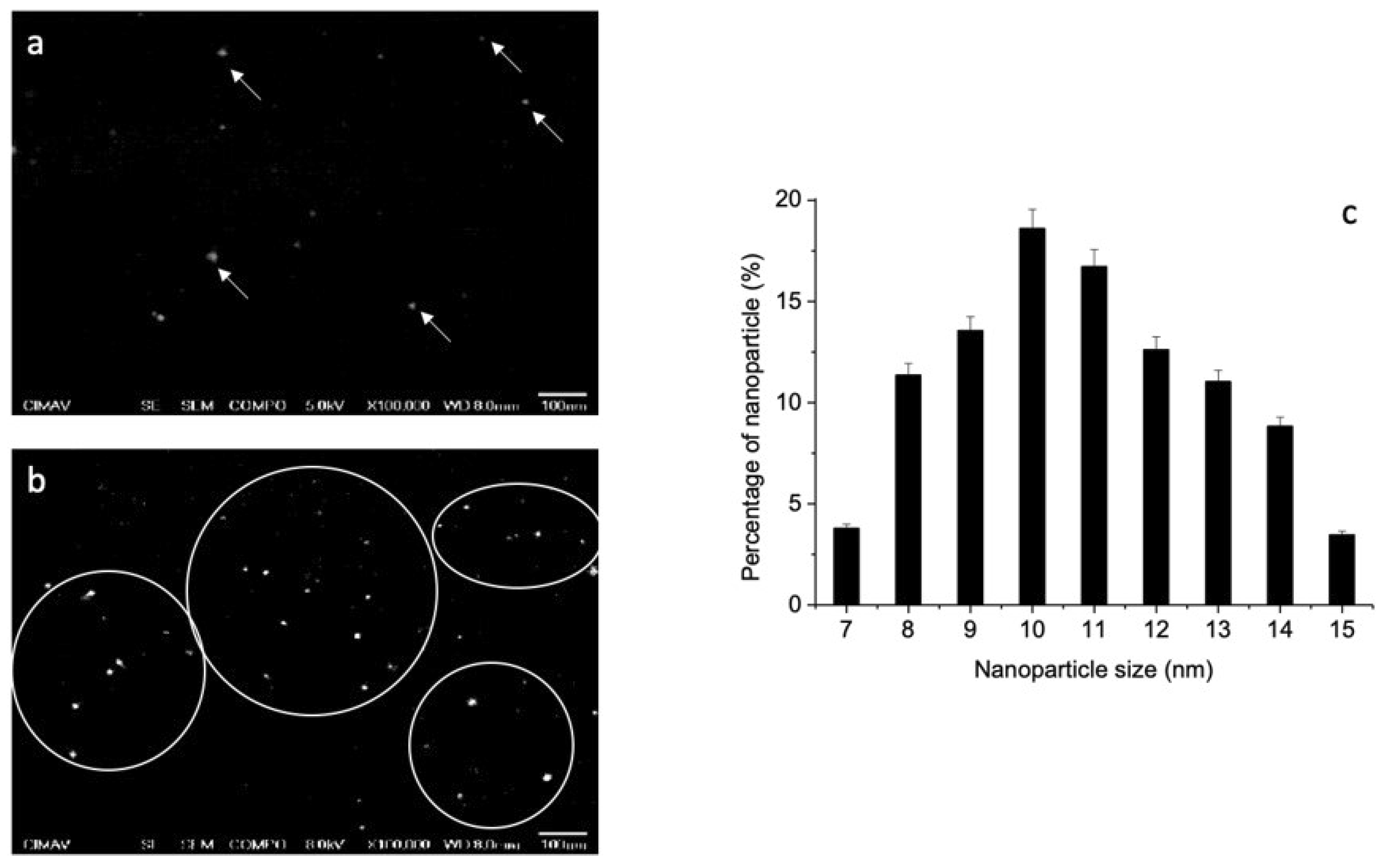 Polymers 13 03214 g002 Polymers 13 03214 g002