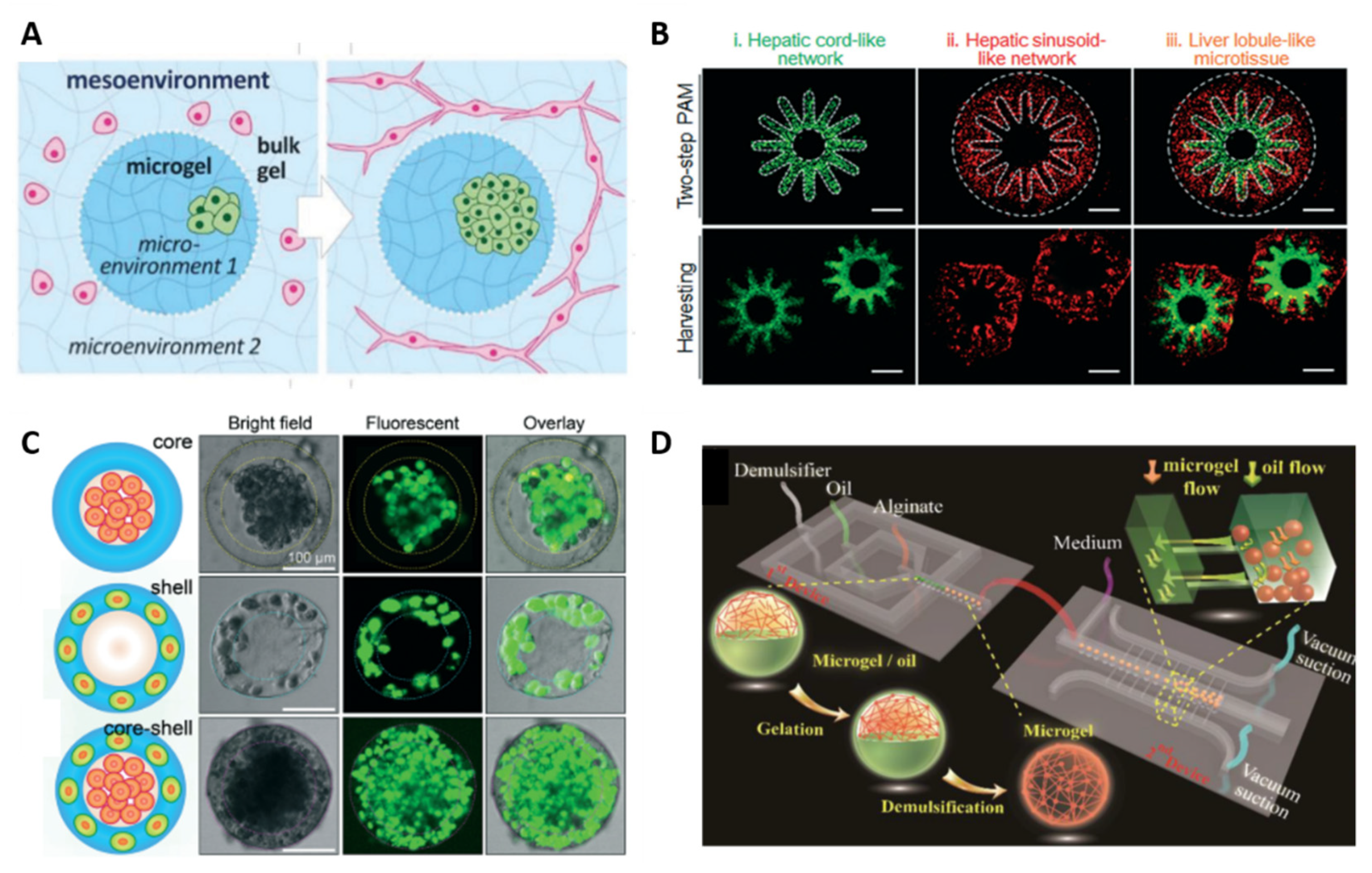 Polymers 13 03216 g001 Polymers 13 03216 g001