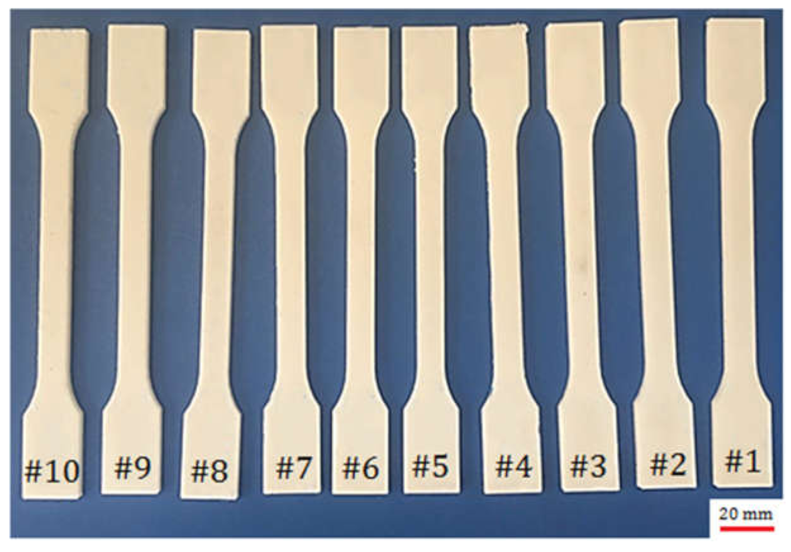 Polymers 13 03219 g005