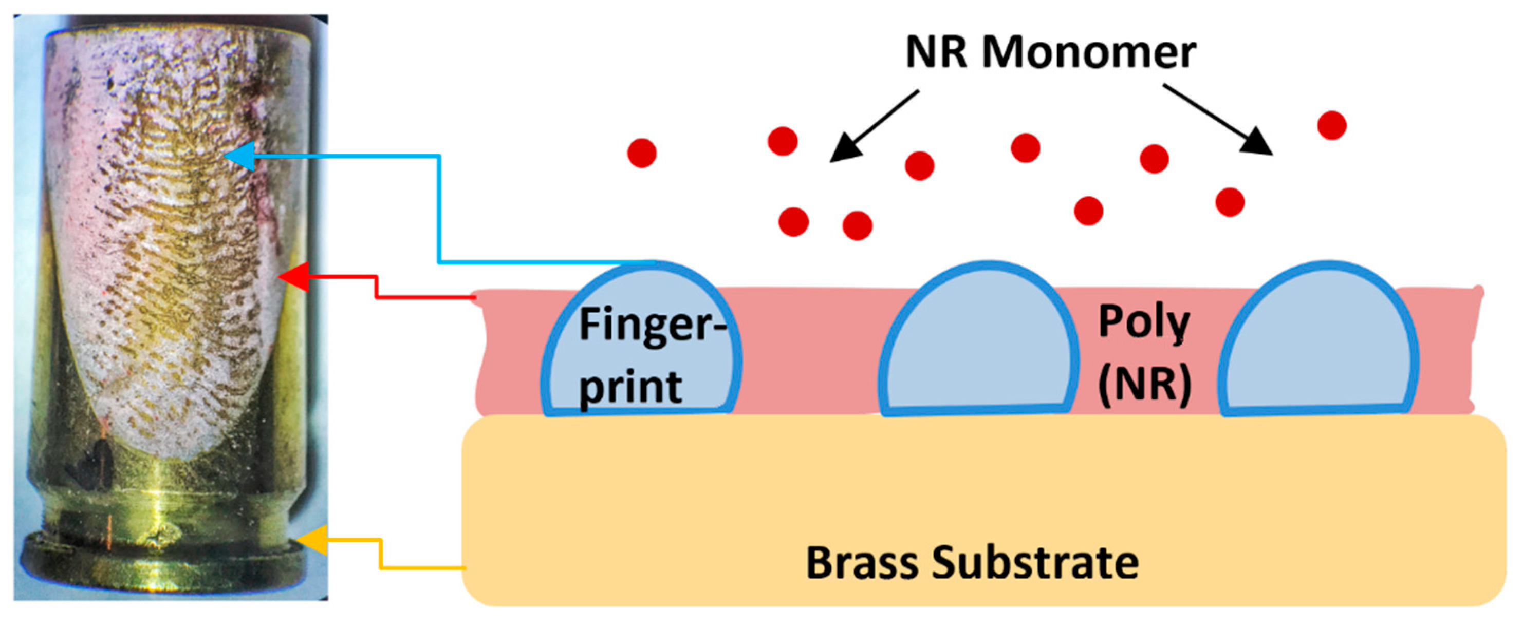 Polymers 13 03220 g001 550