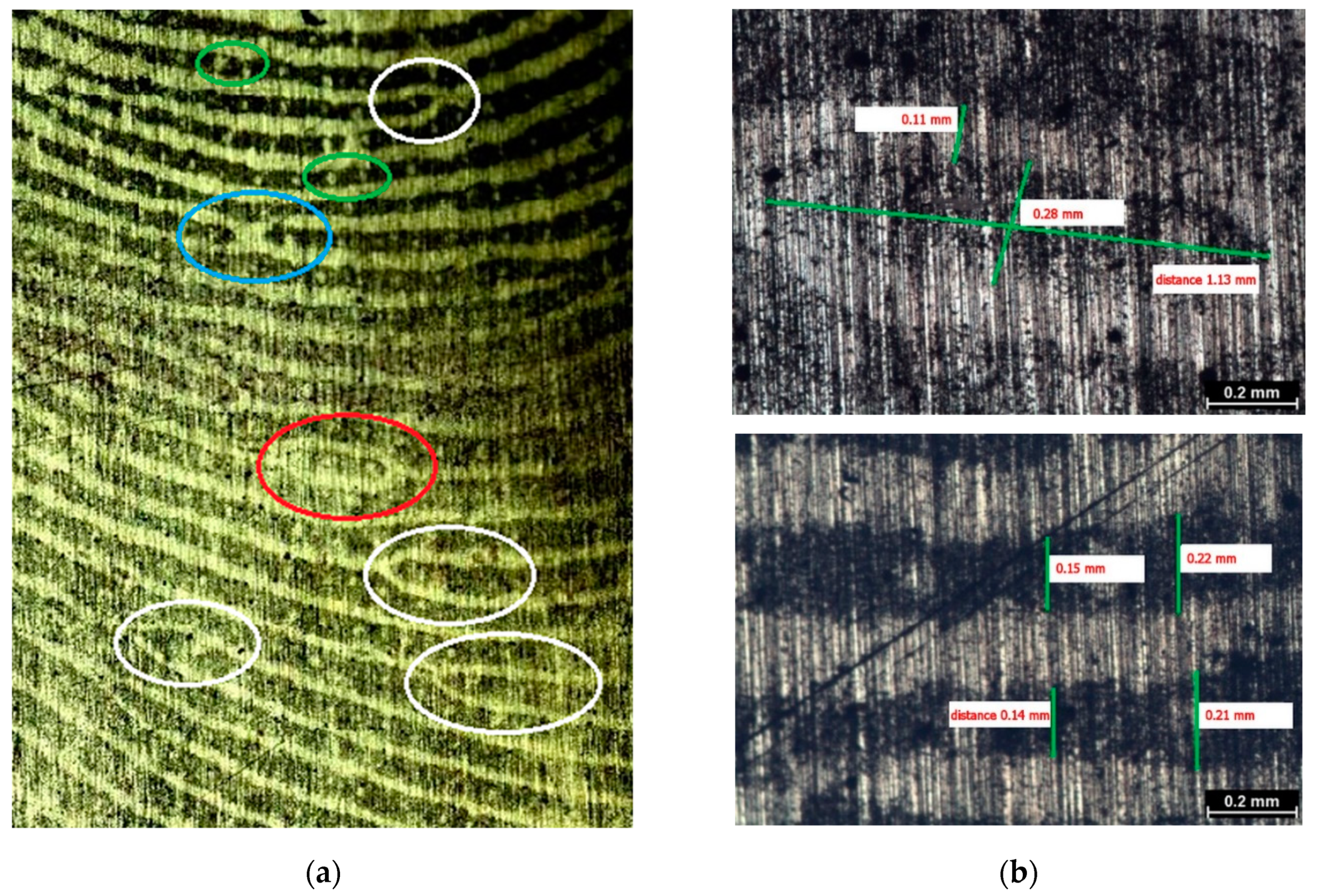 Polymers 13 03220 g005 550