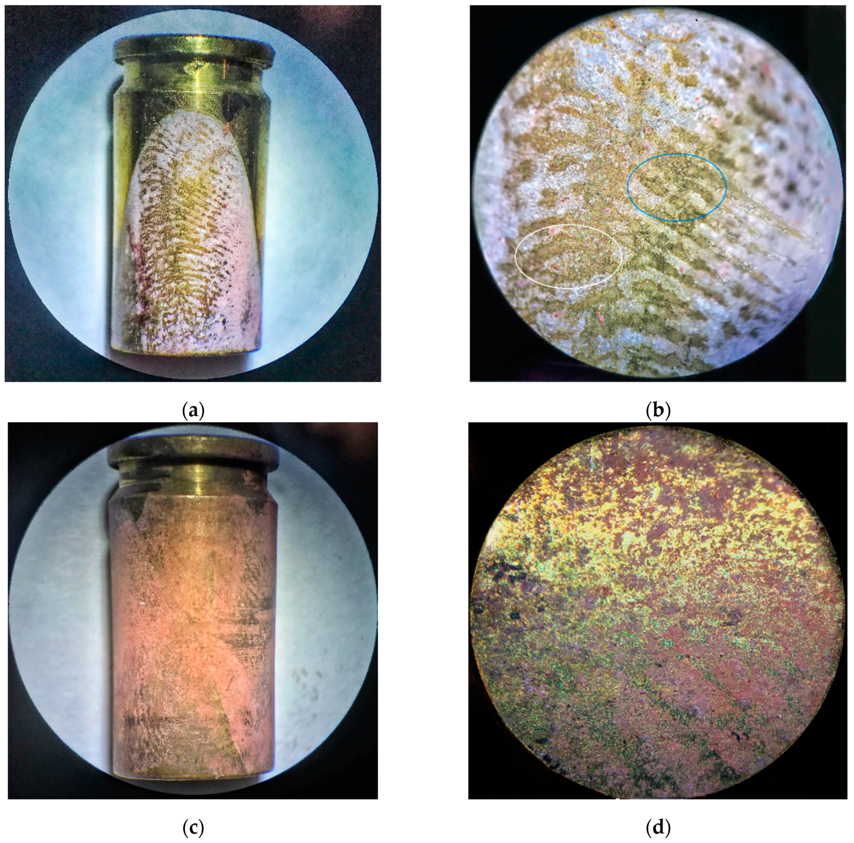 Polymers 13 03220 g007 550