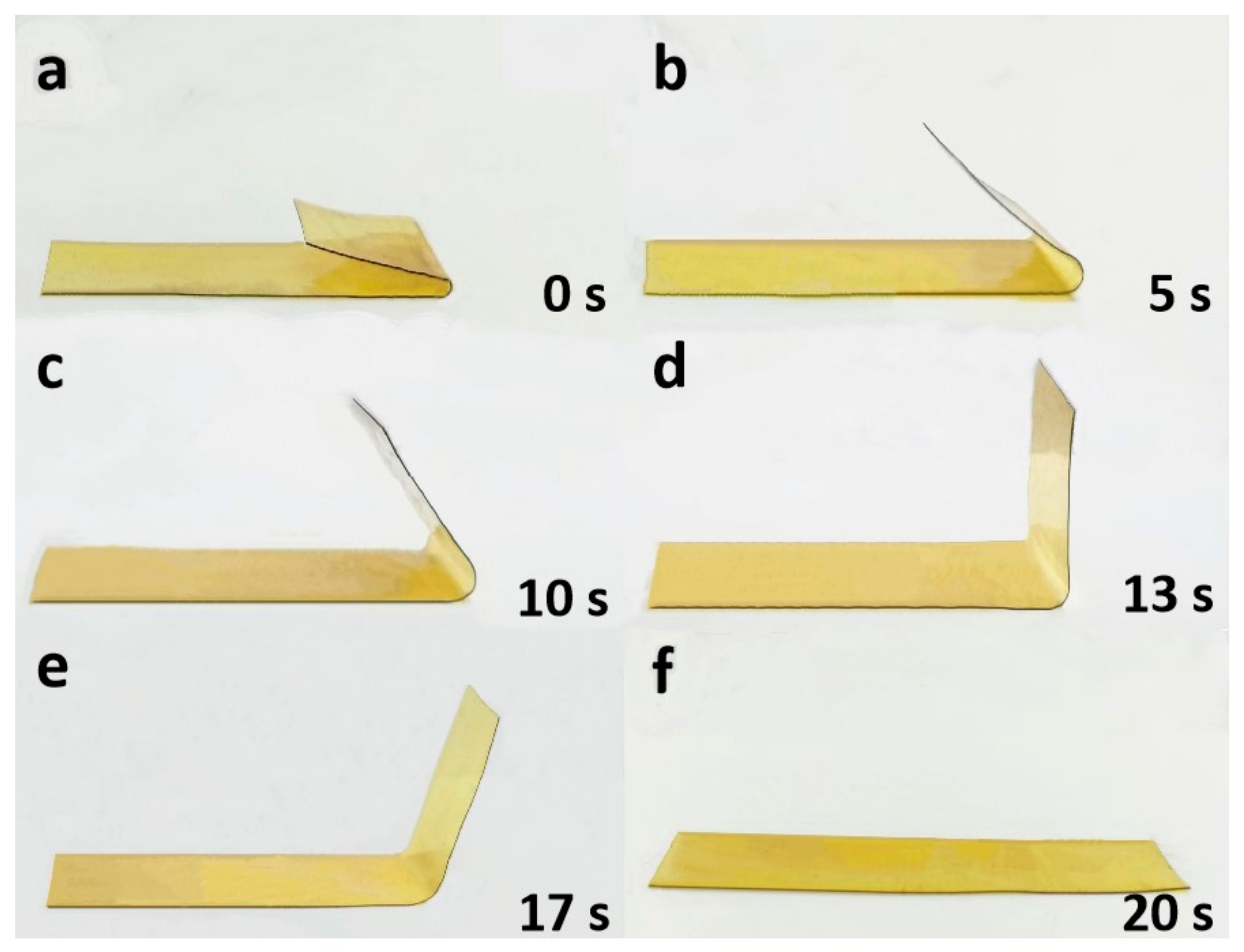 Polymers 13 03222 g008