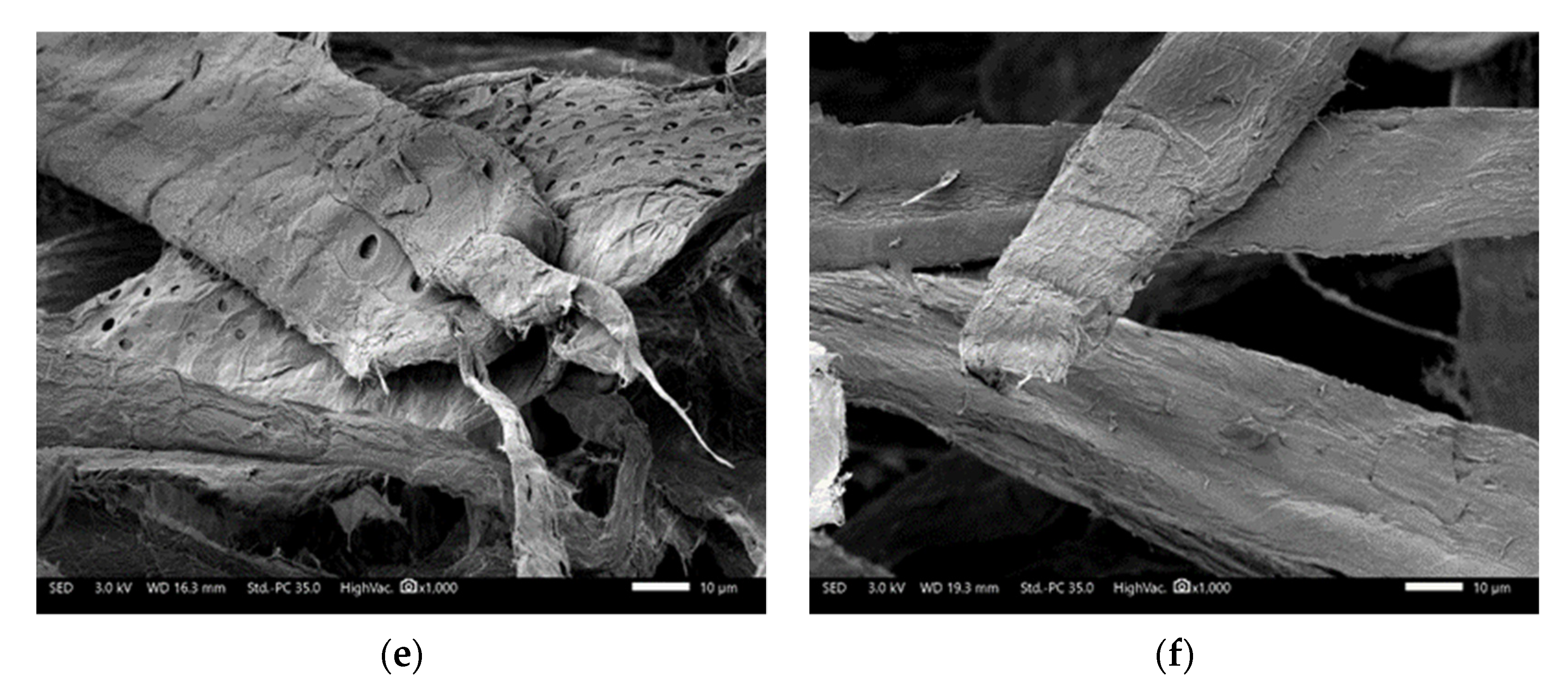 Polymers 13 03225 g006b 550
