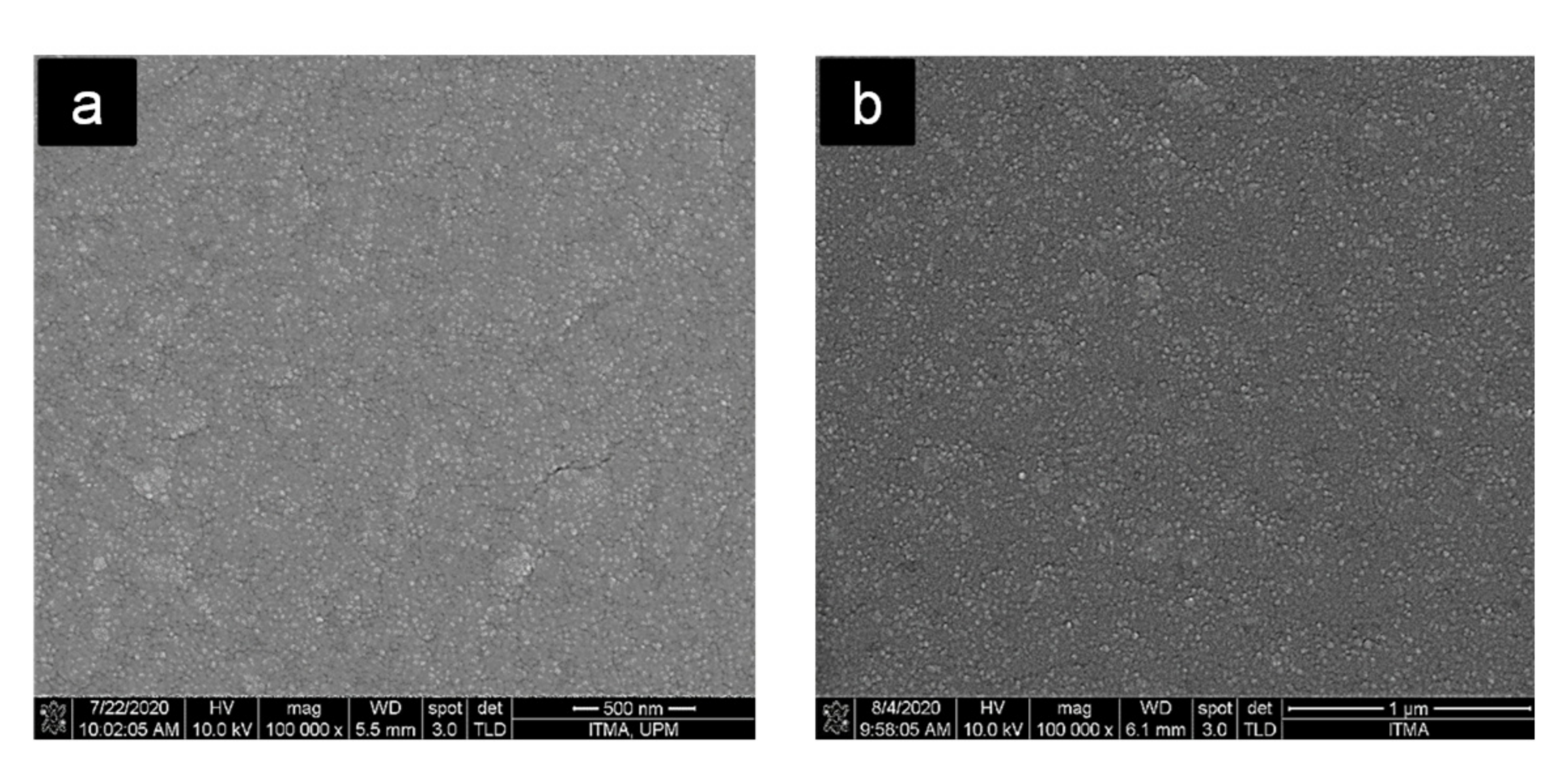 Polymers 13 03226 g008a 550