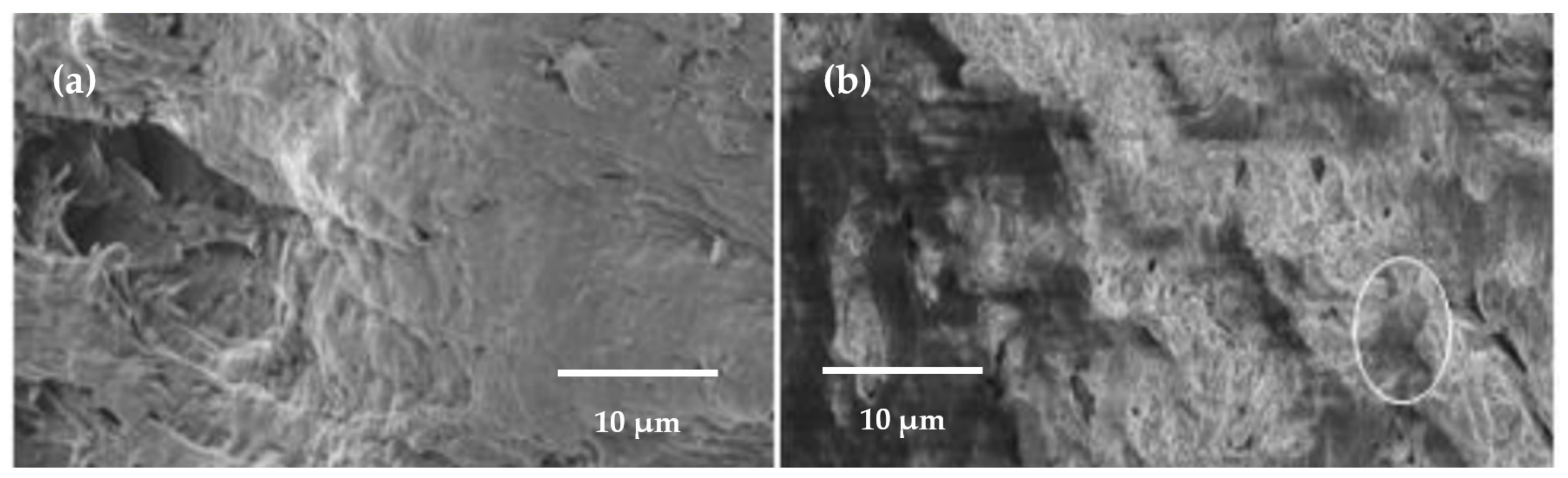Polymers 13 03227 g022