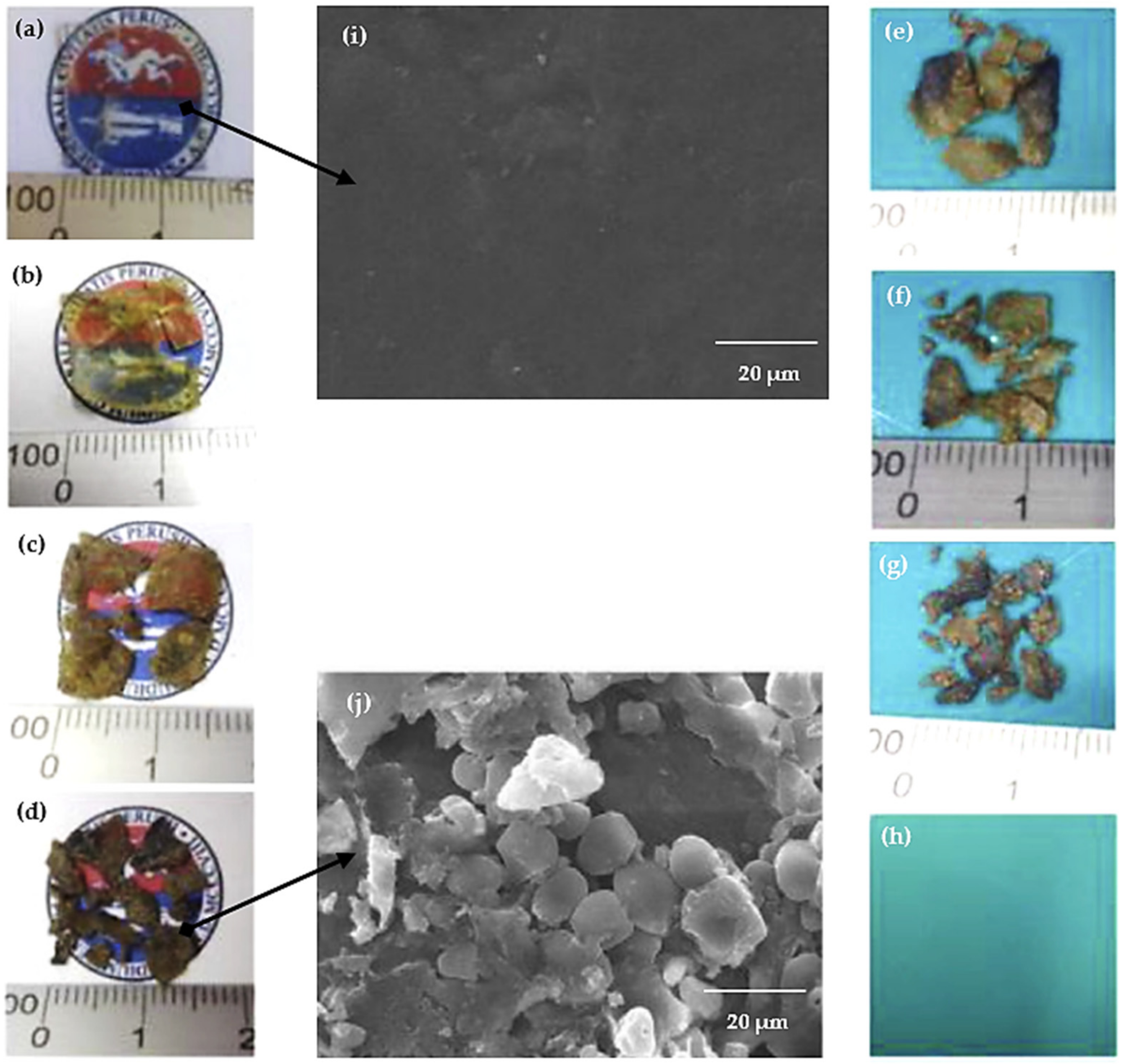 Polymers 13 03227 g026