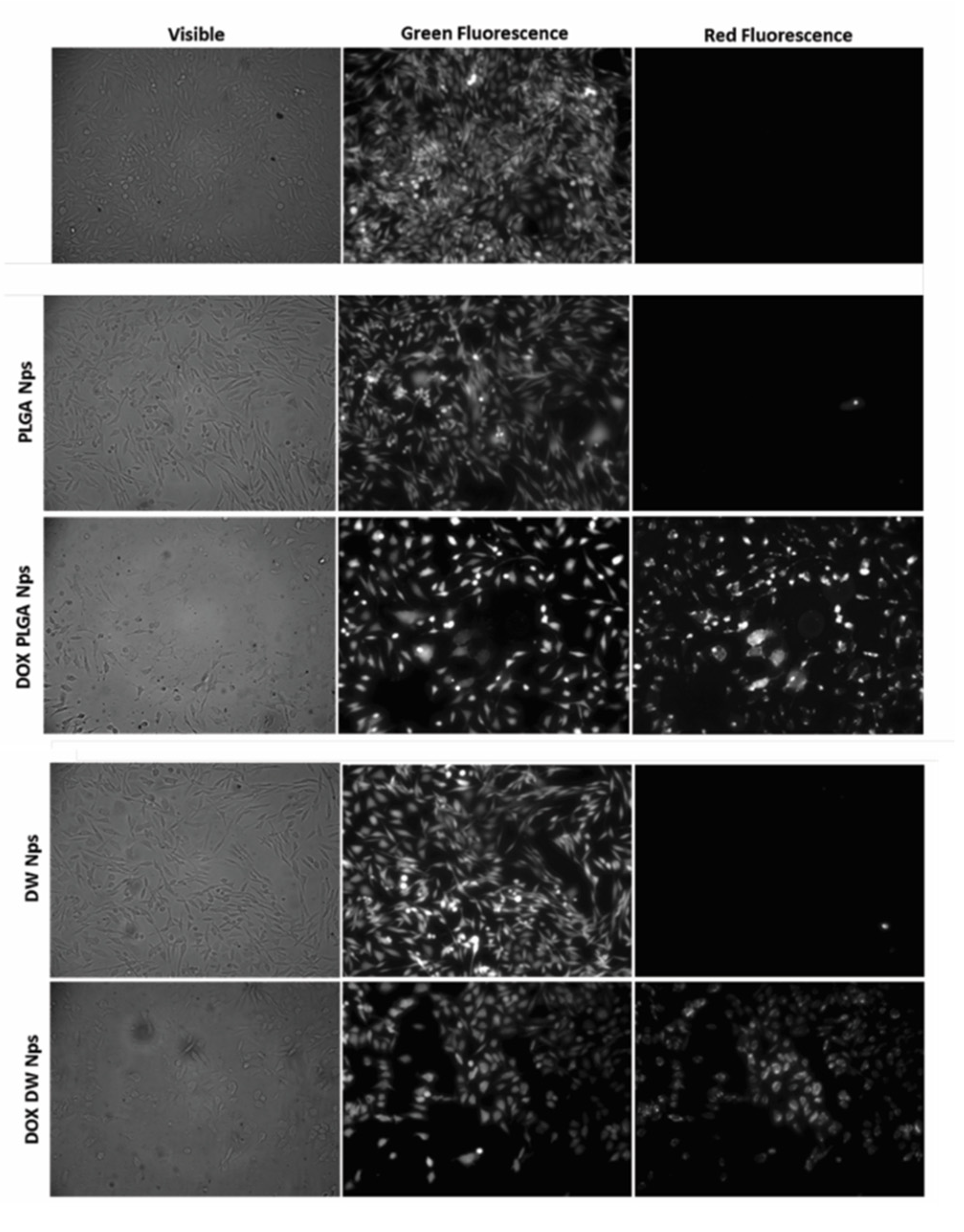 Polymers 13 03230 g008