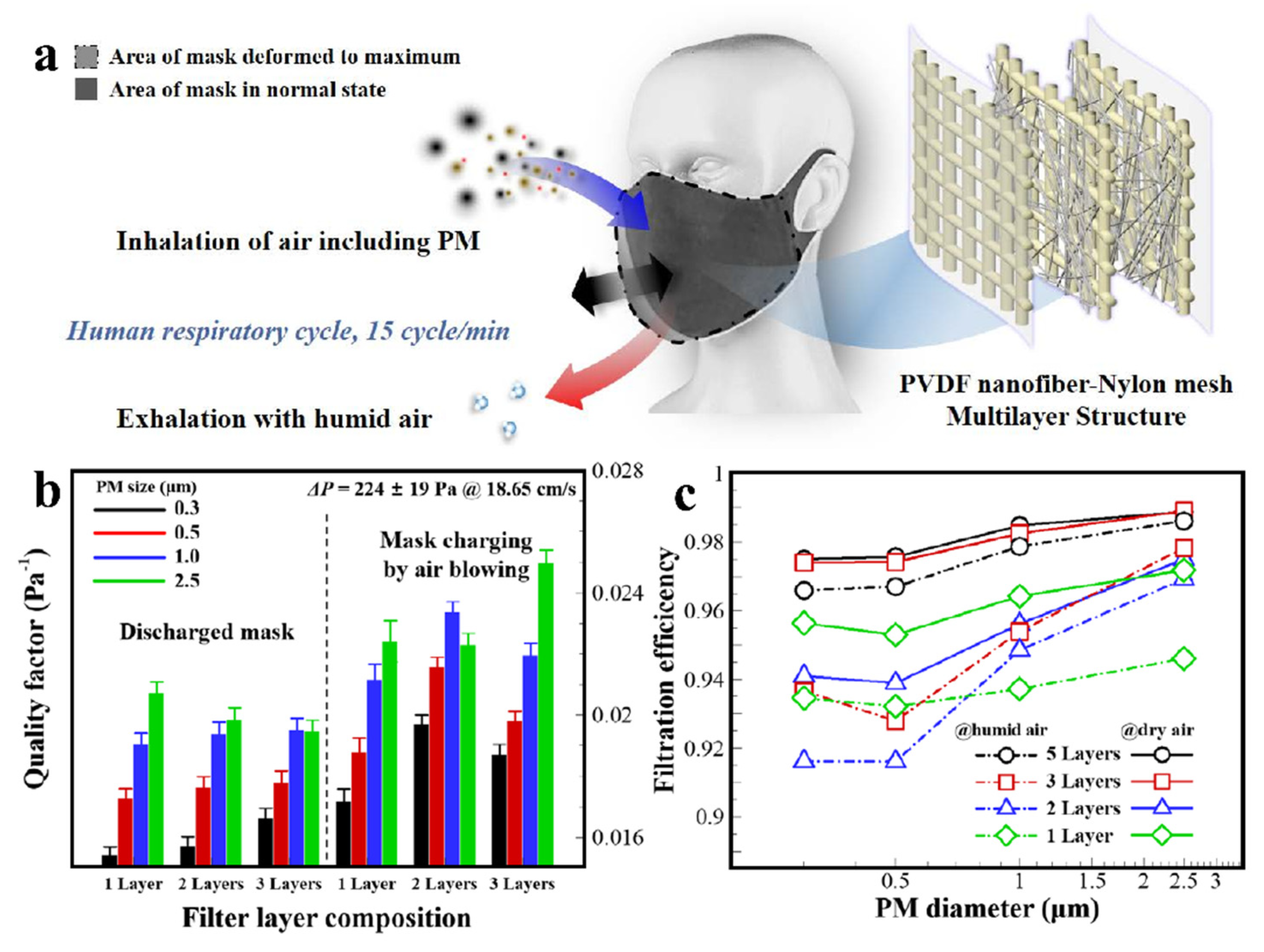 Polymers 13 03235 g005 550