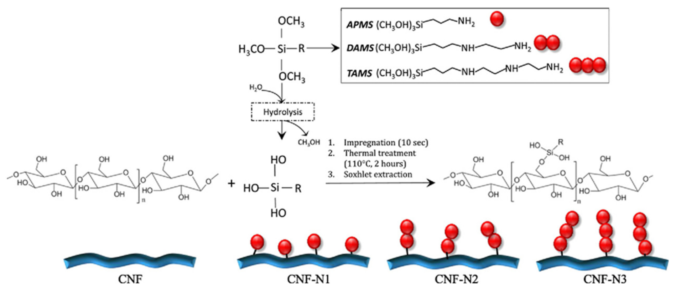 Polymers 13 03241 g006 550
