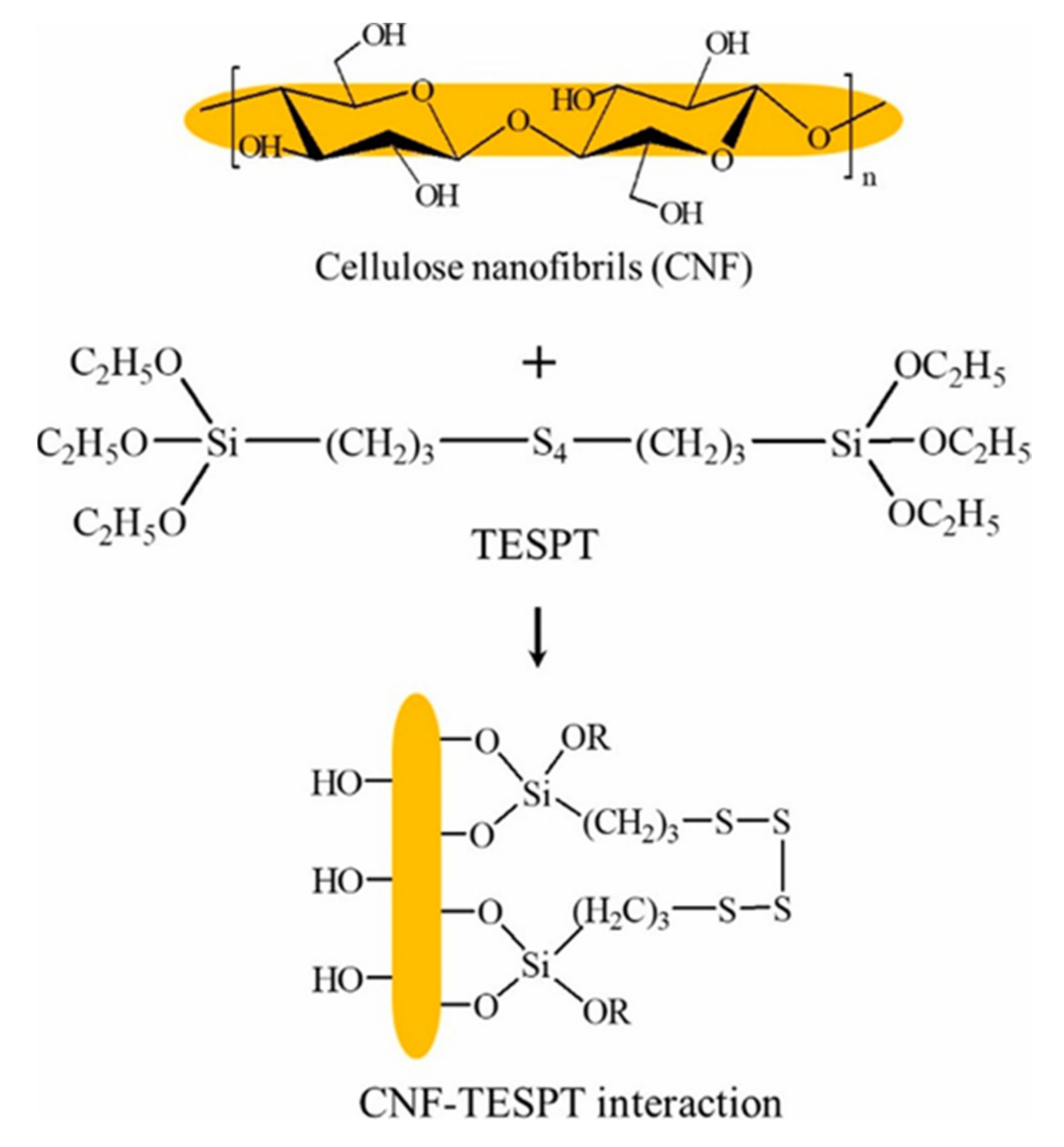 Polymers 13 03241 g007 550
