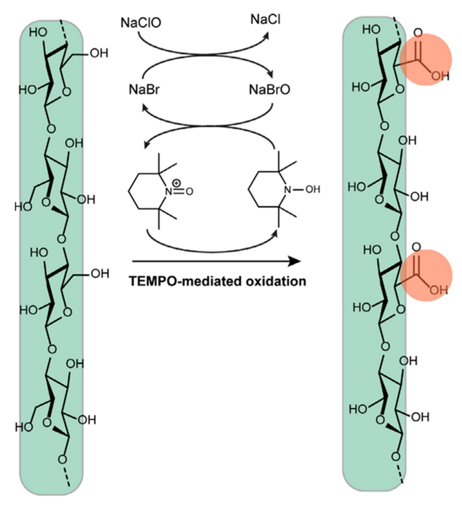 Polymers 13 03241 g008 550