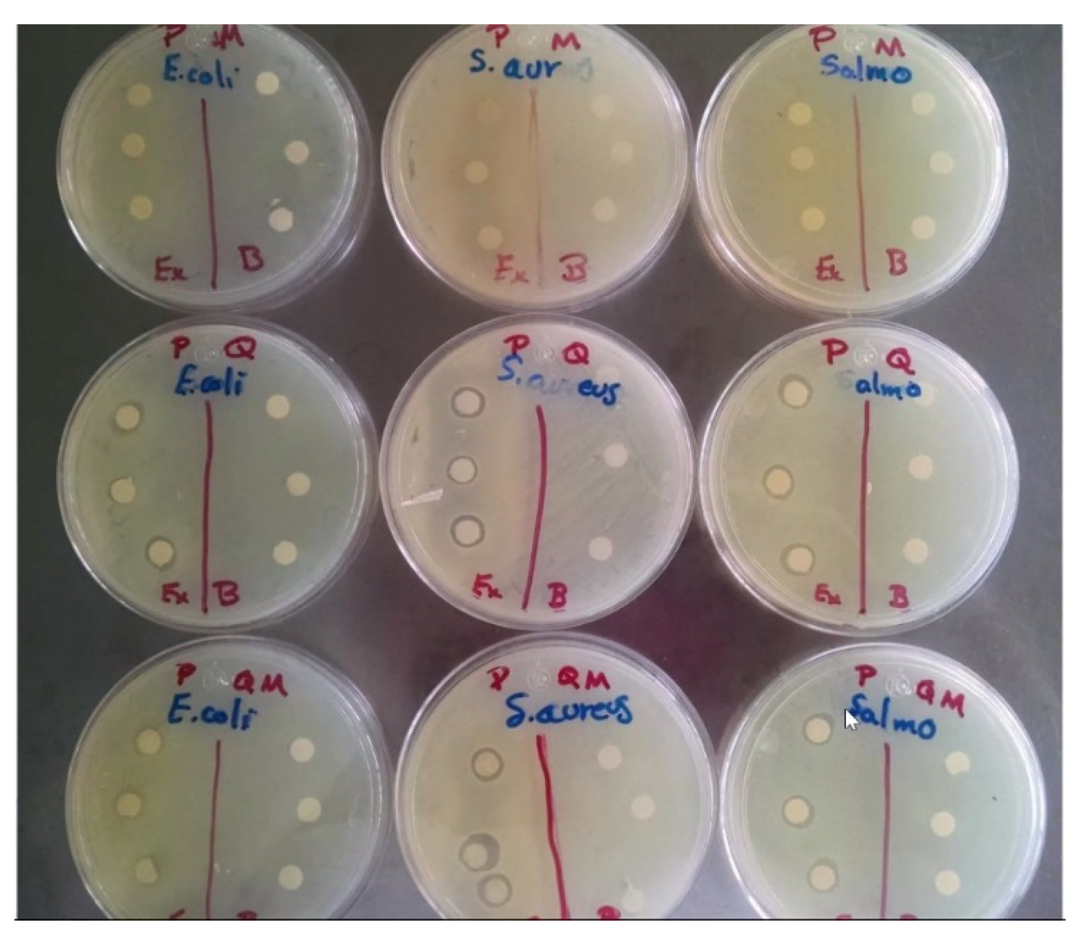 Polymers 13 03243 g002