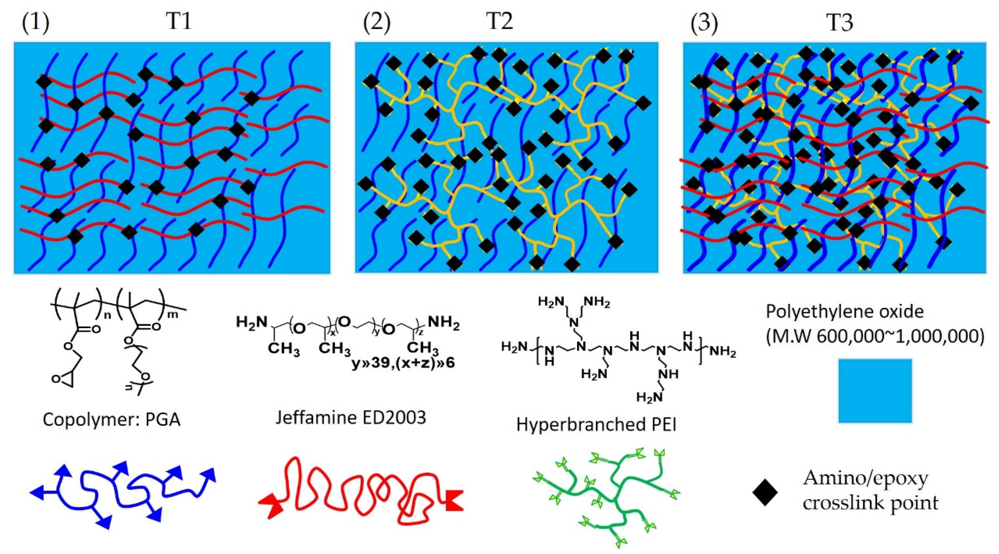 Polymers 13 03244 g001