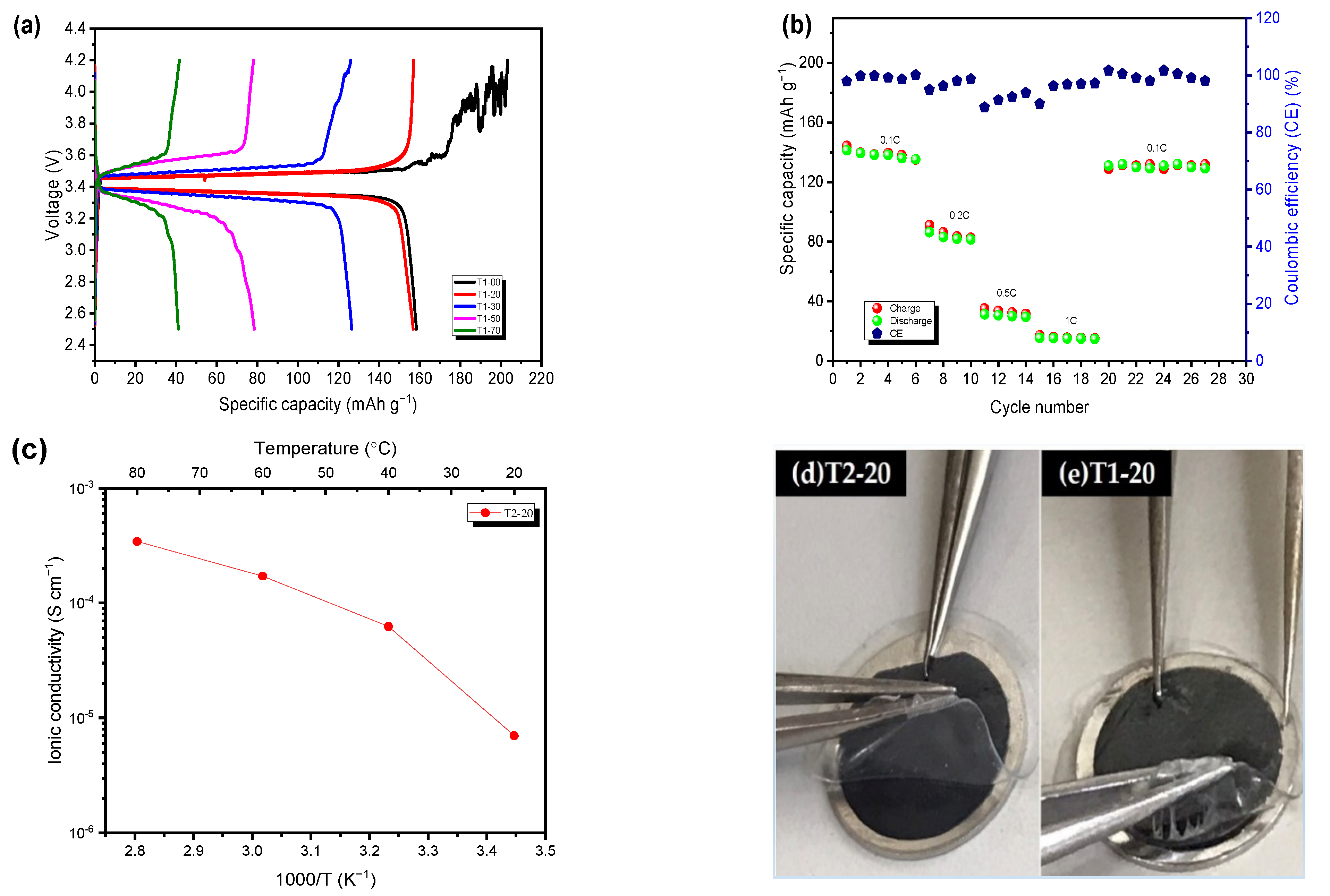 Polymers 13 03244 g008