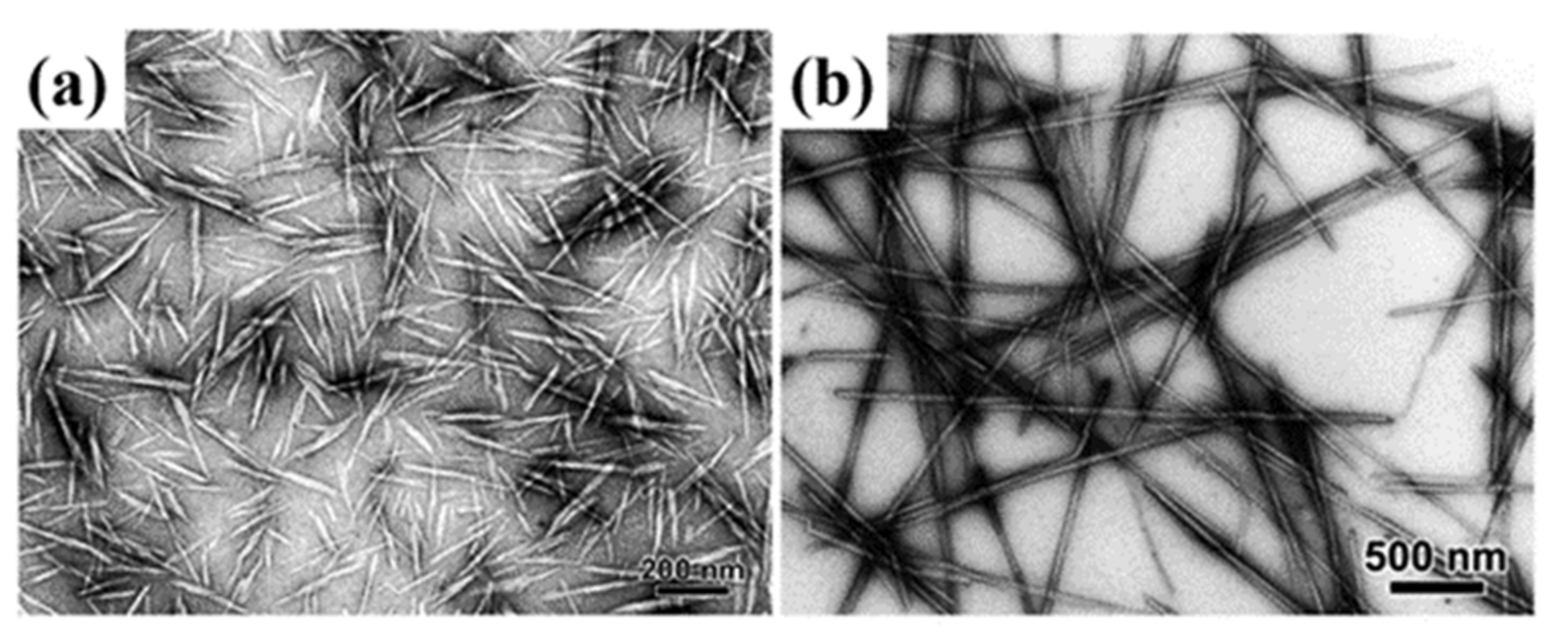 Polymers 13 03247 g003 Polymers 13 03247 g003