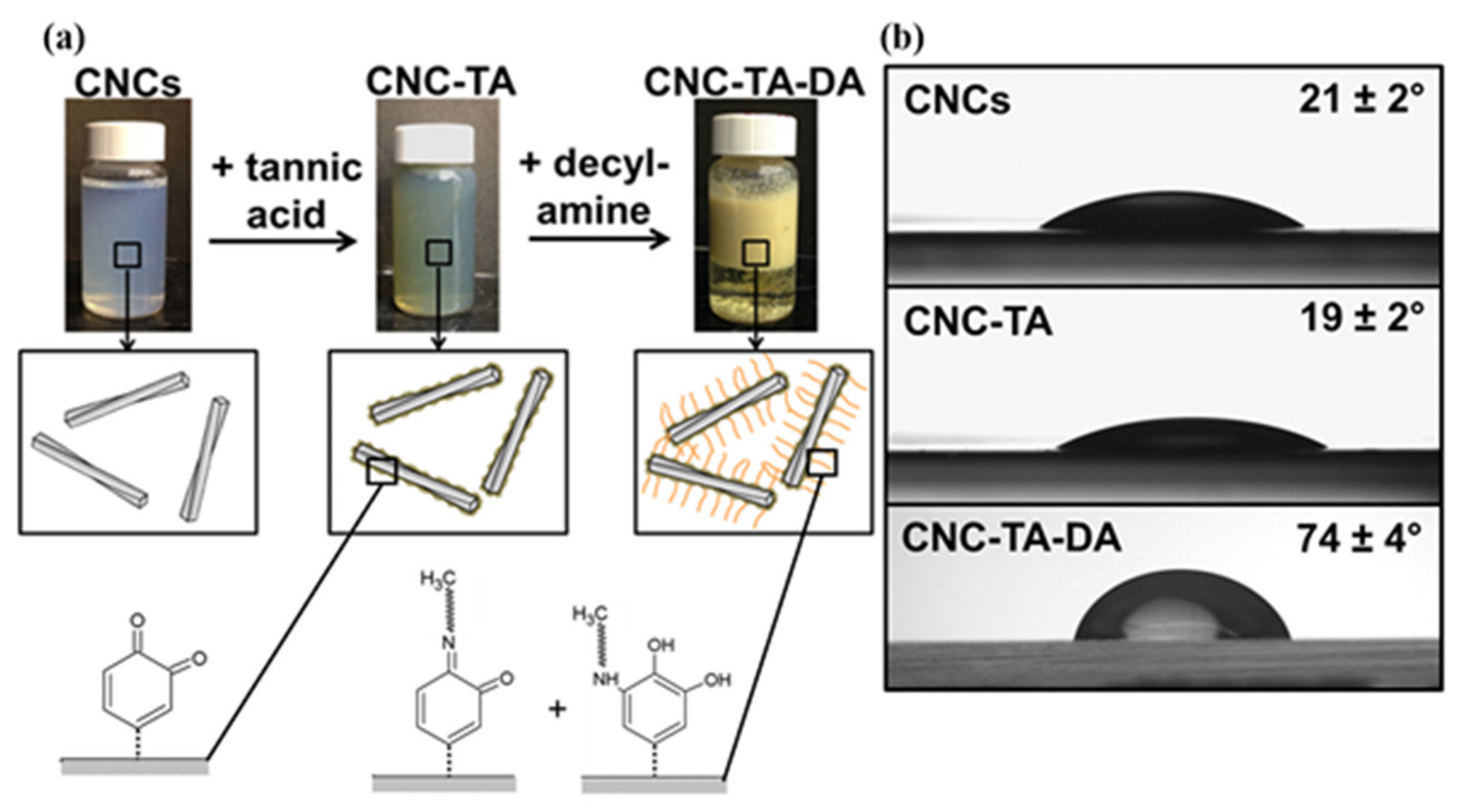 Polymers 13 03247 g006 Polymers 13 03247 g006