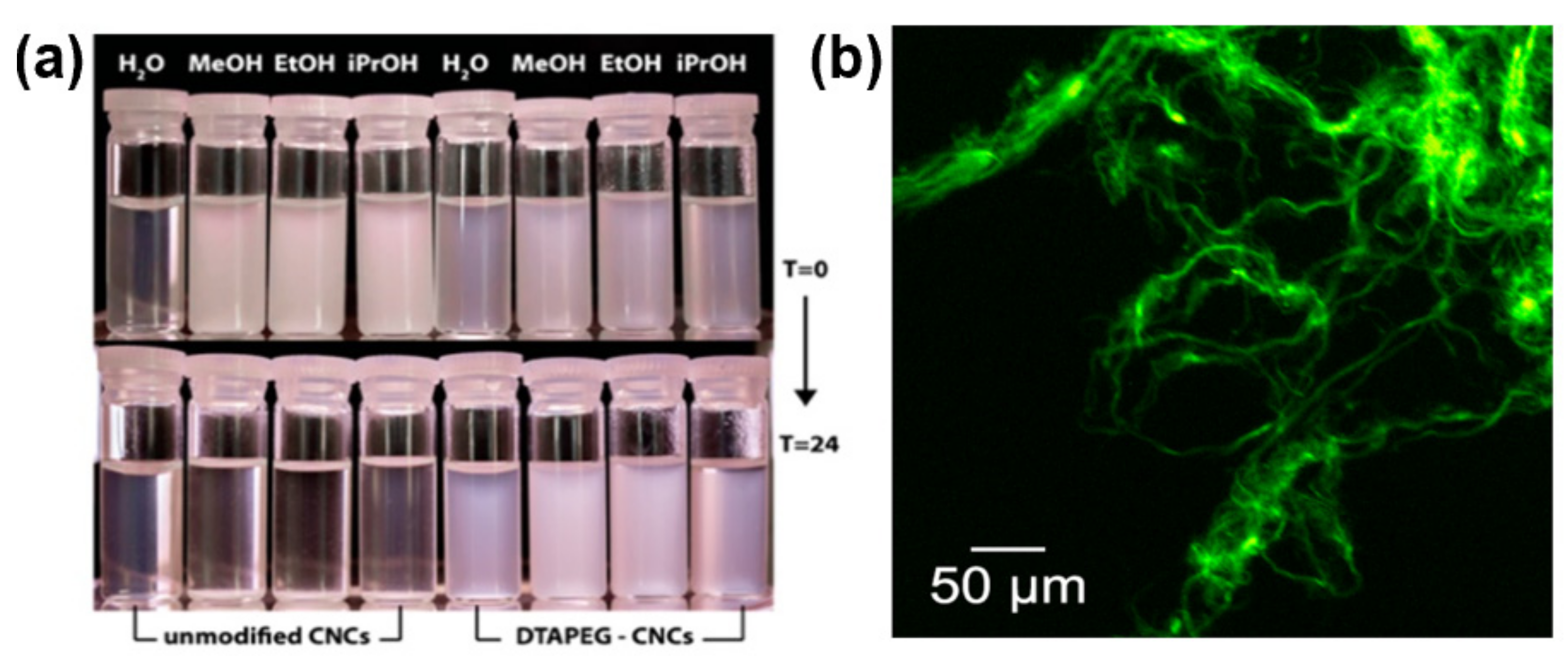 Polymers 13 03247 g013 Polymers 13 03247 g013