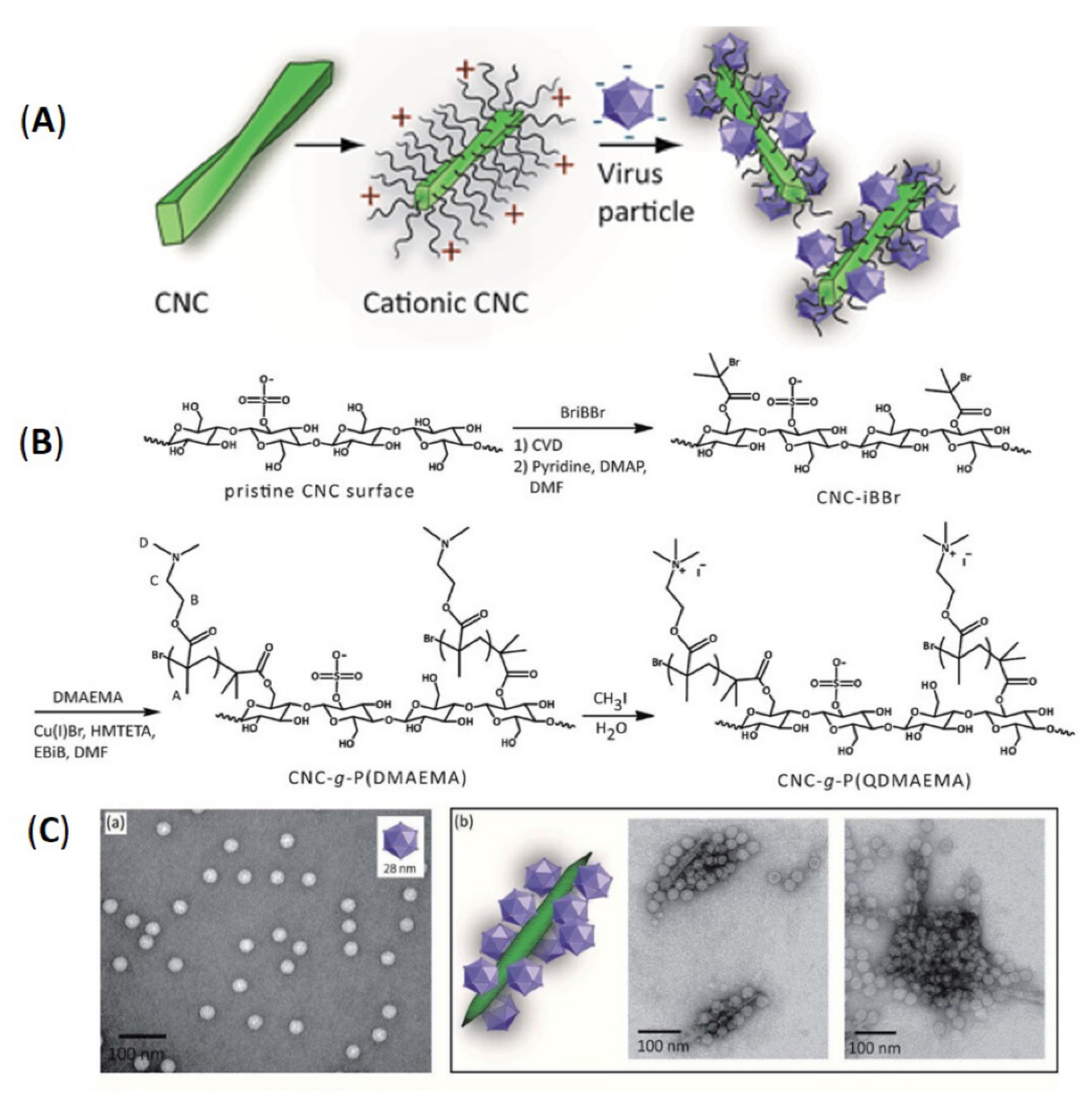 Polymers 13 03247 g014 Polymers 13 03247 g014