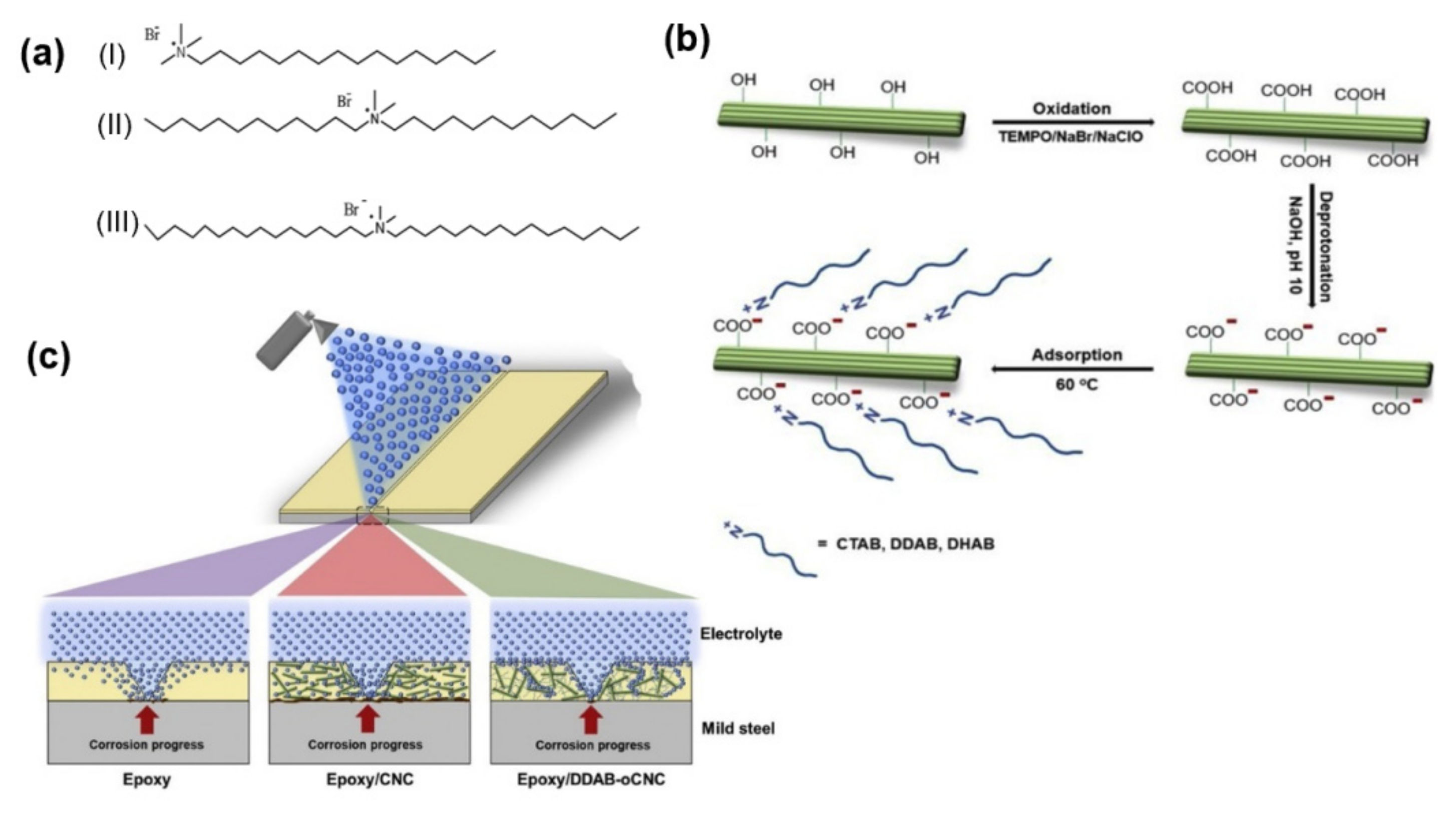 Polymers 13 03247 g015 Polymers 13 03247 g015